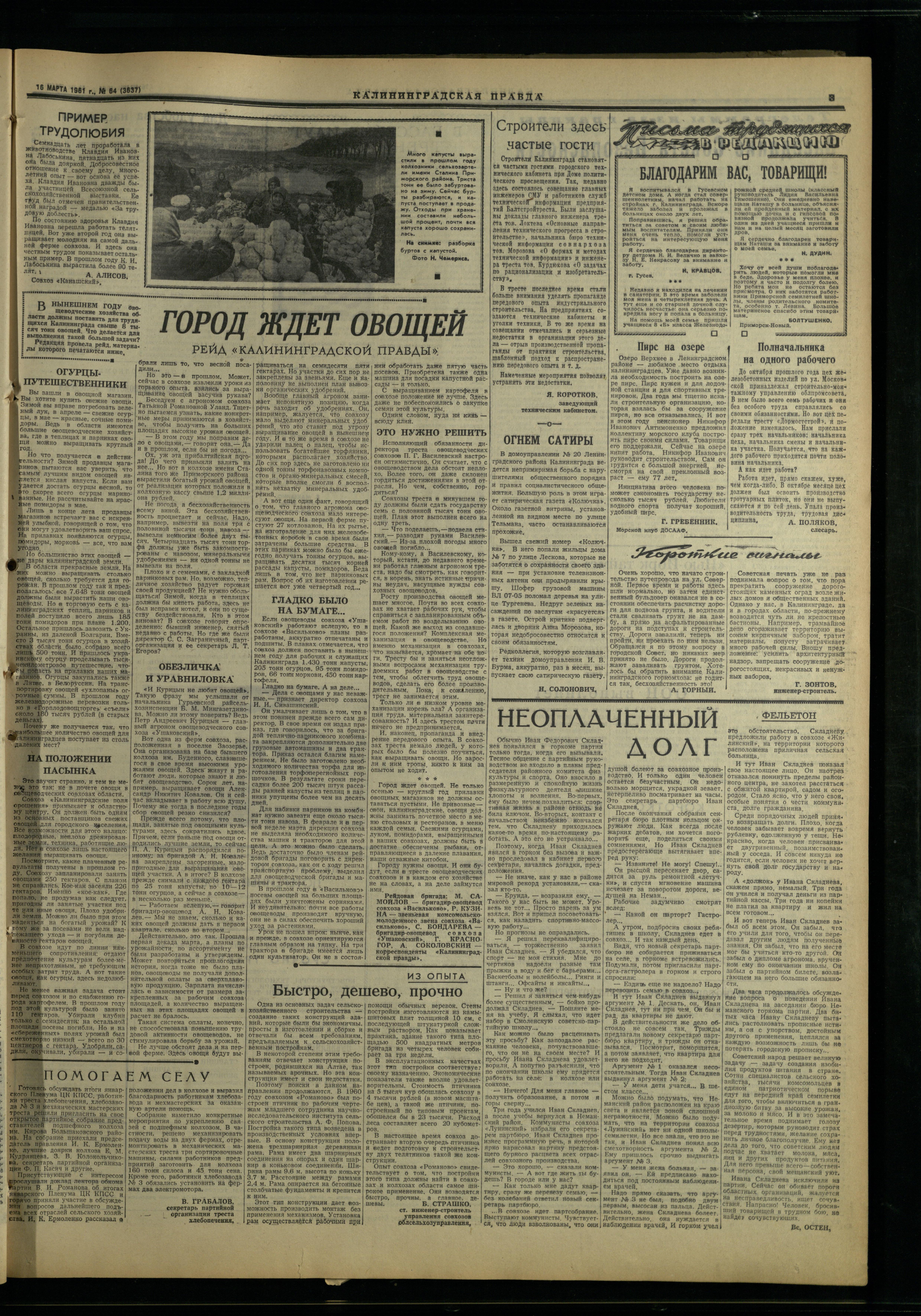 64-3-61-3