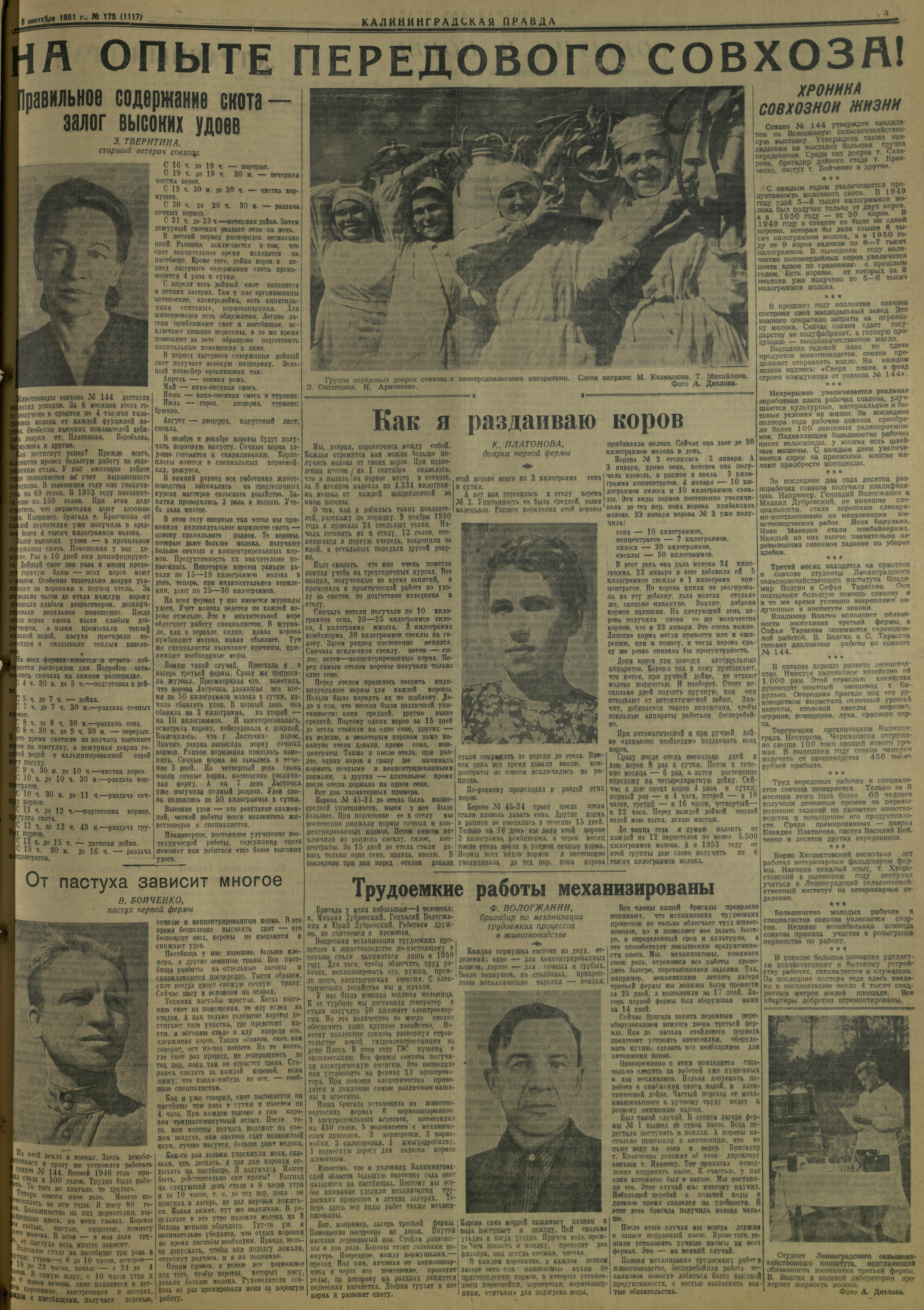 175-9-51-3