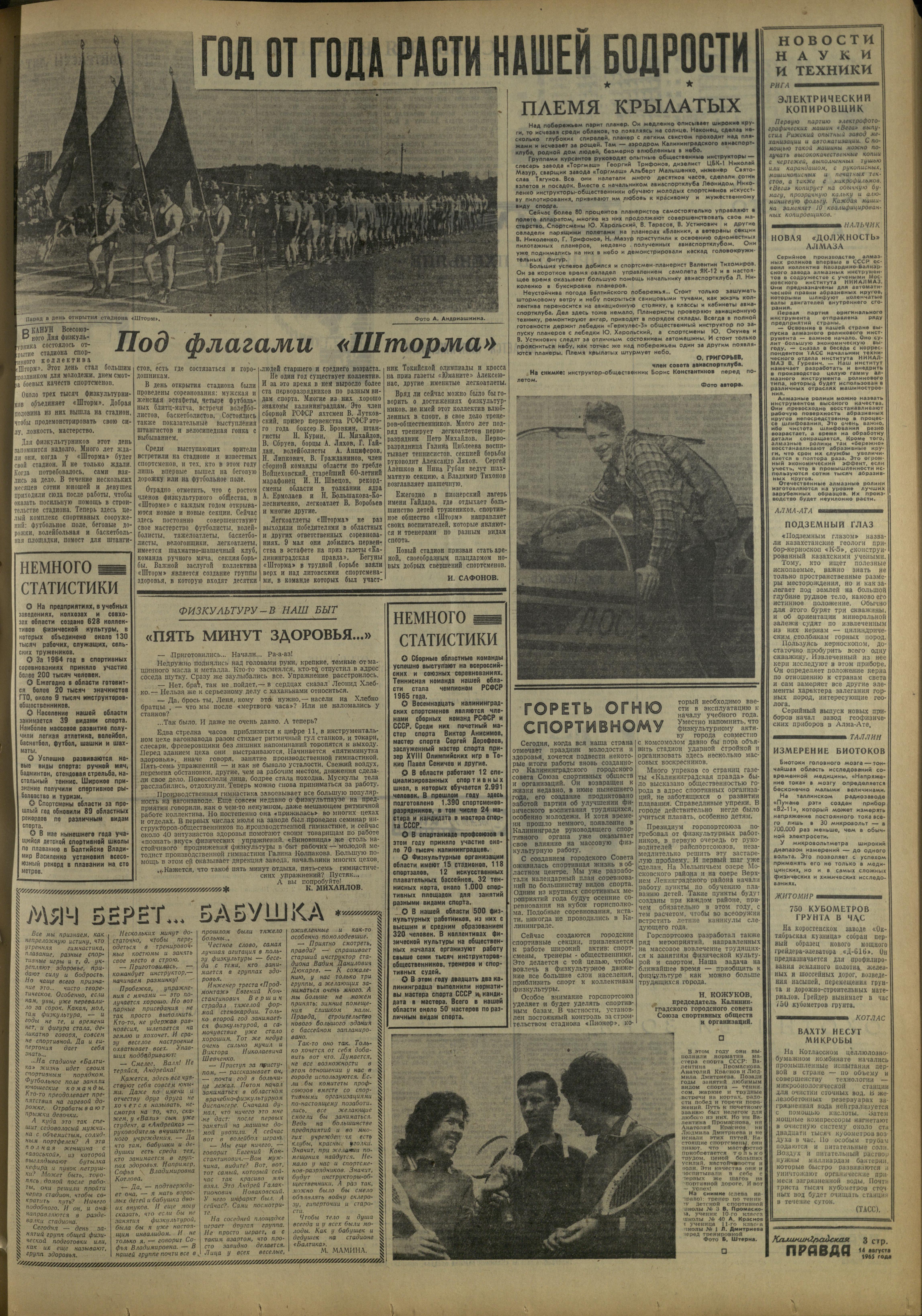 191-8-65-3