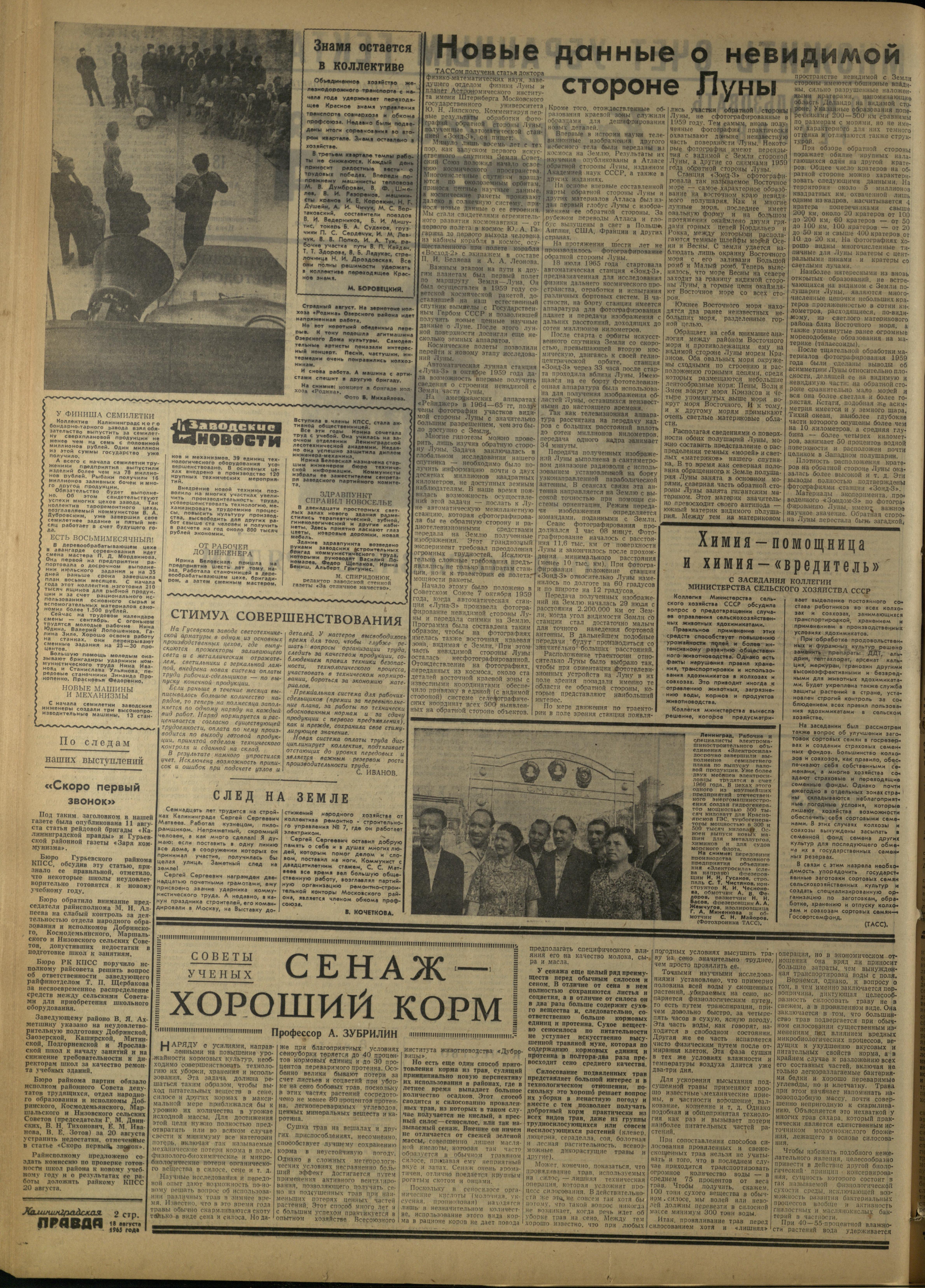 194-8-65-2