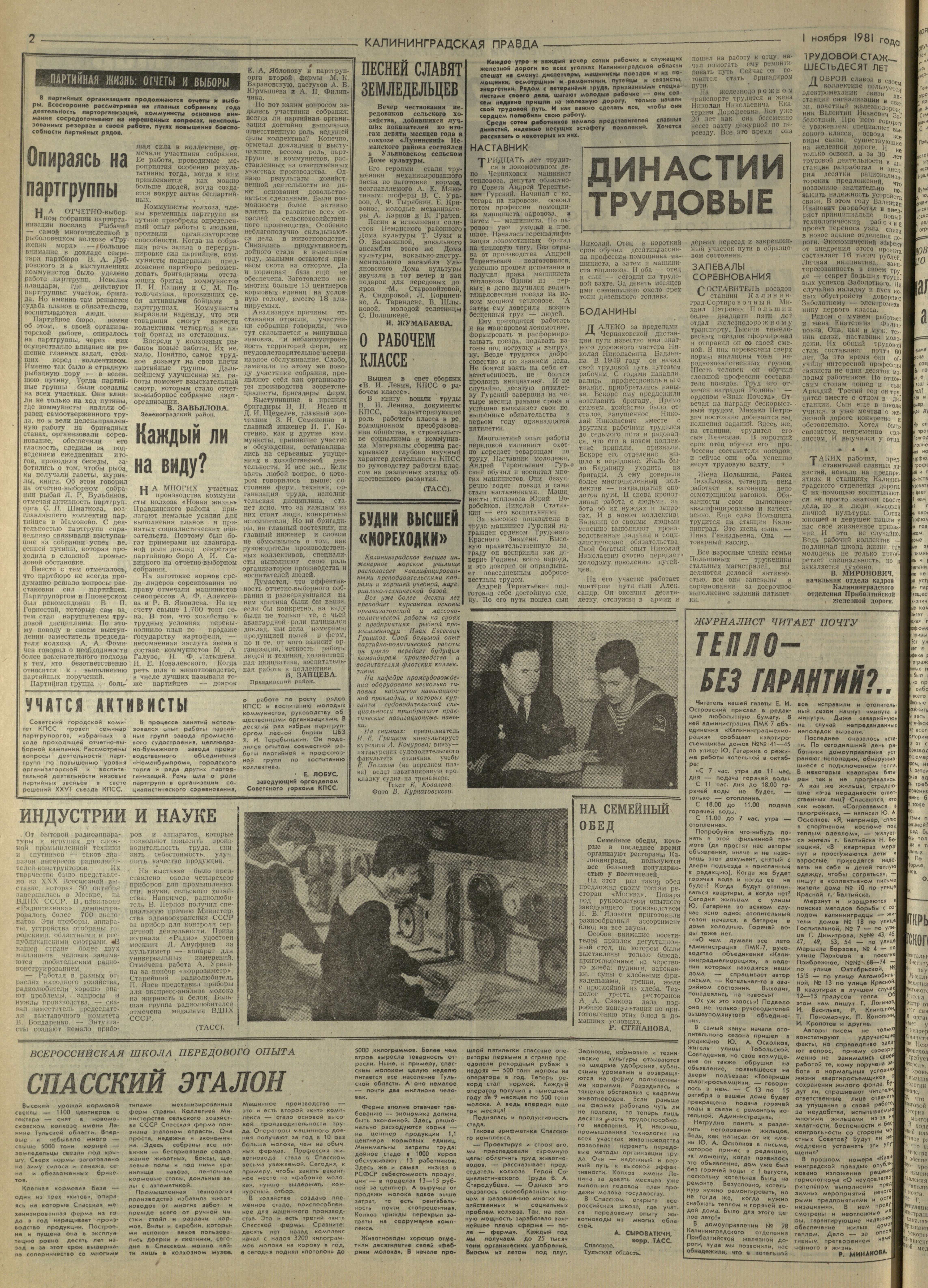 251-11-81-2