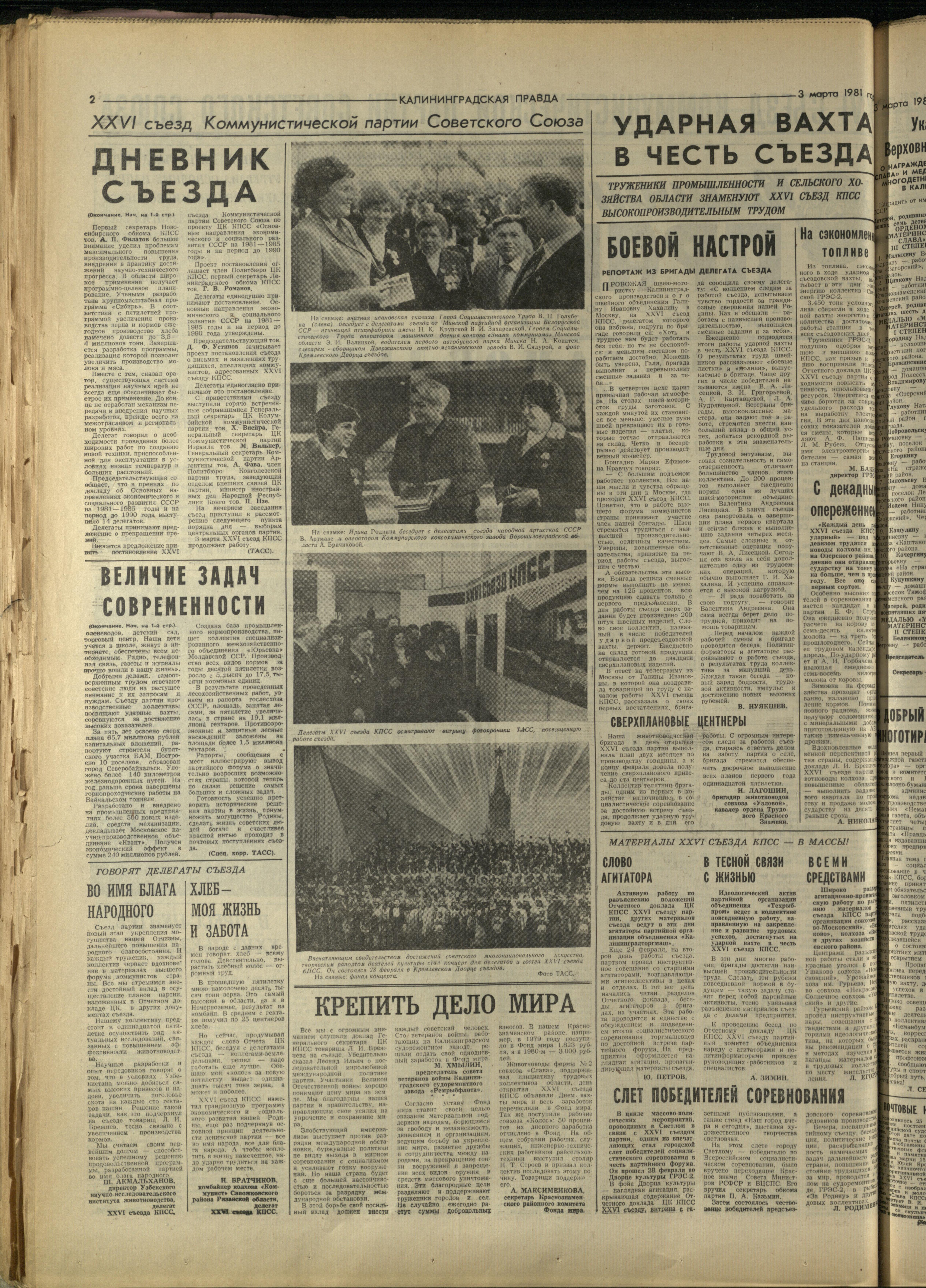 52-3-81-2