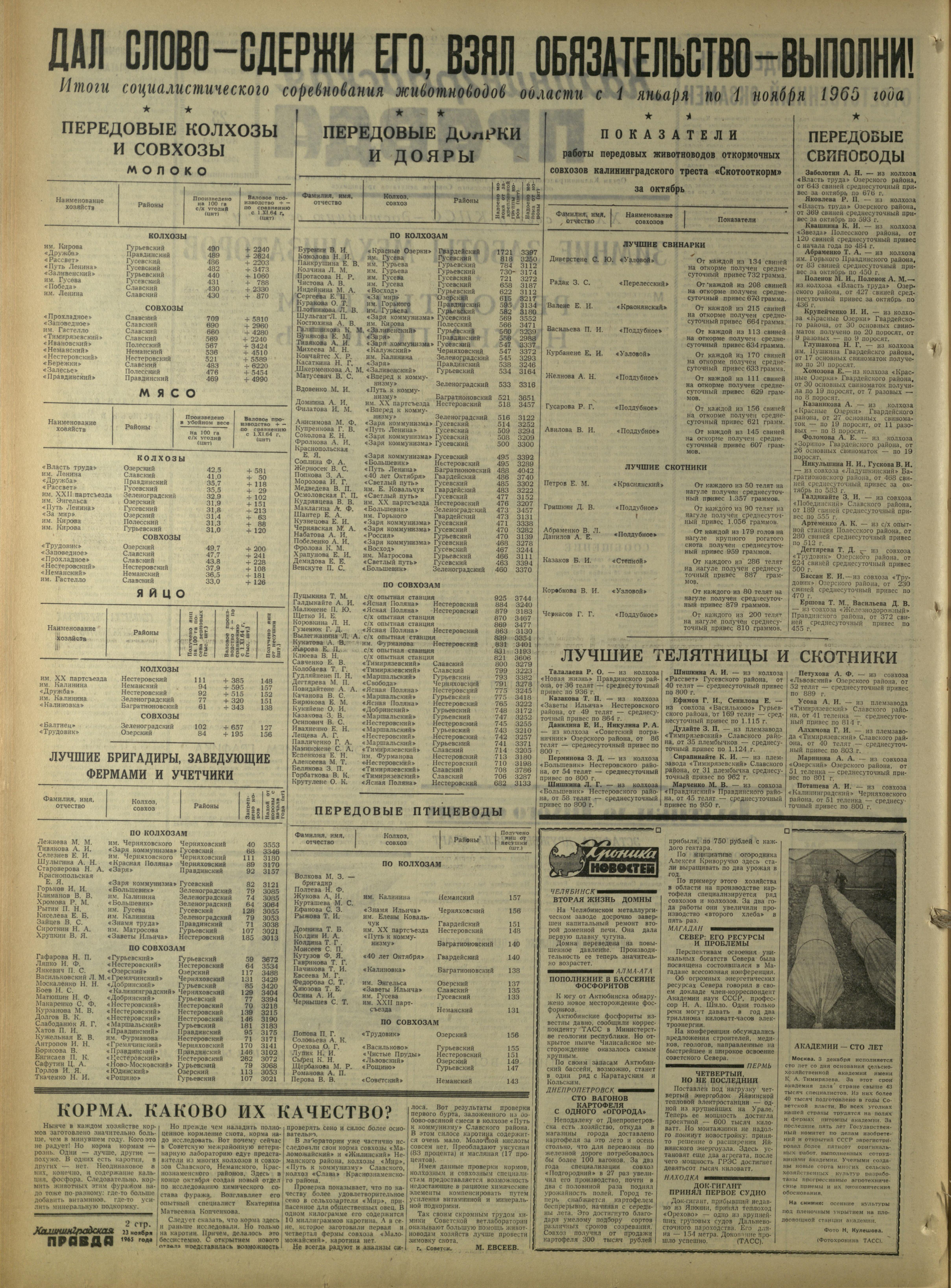 276-11-65-2