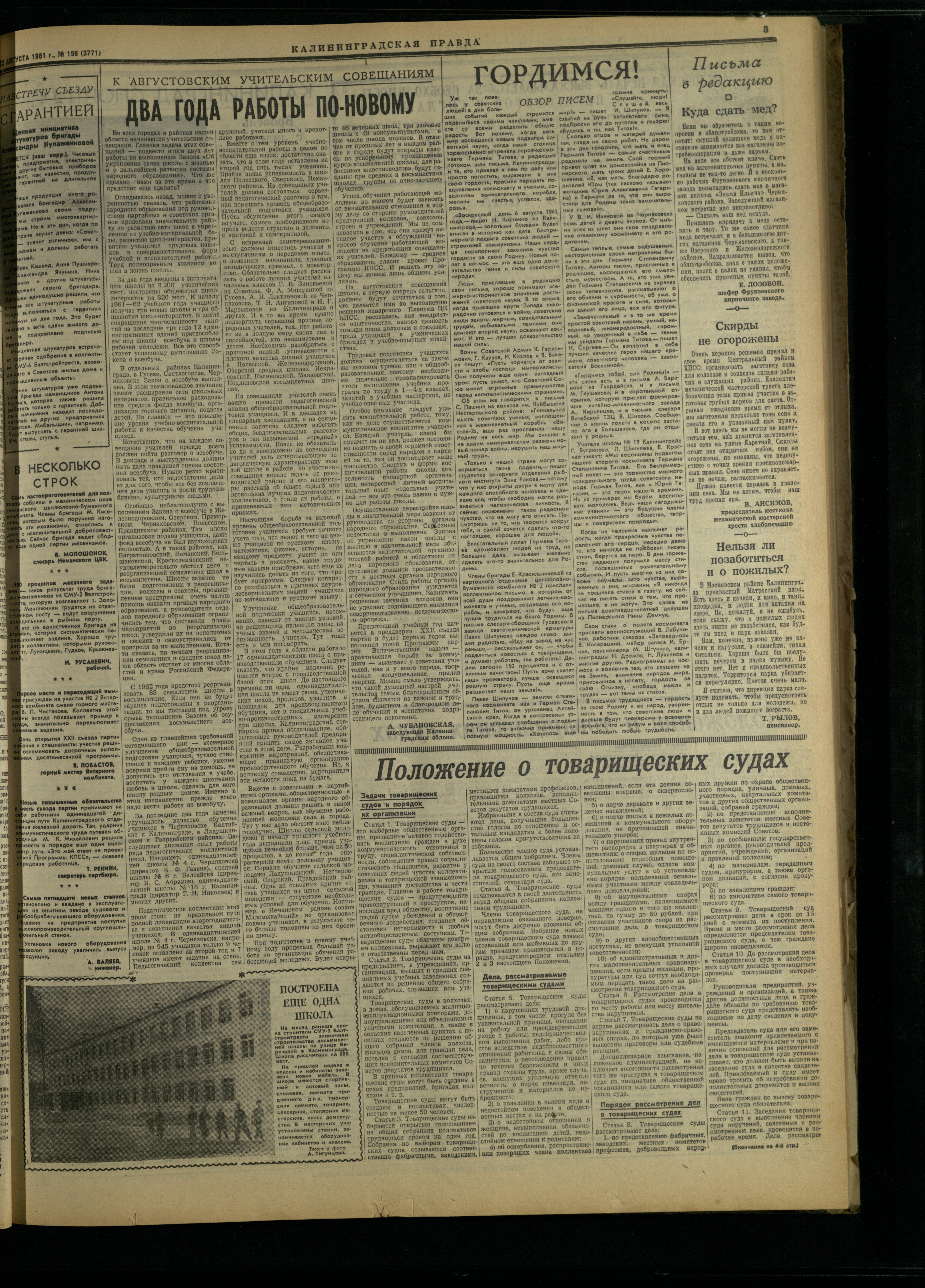 198-8-61-3