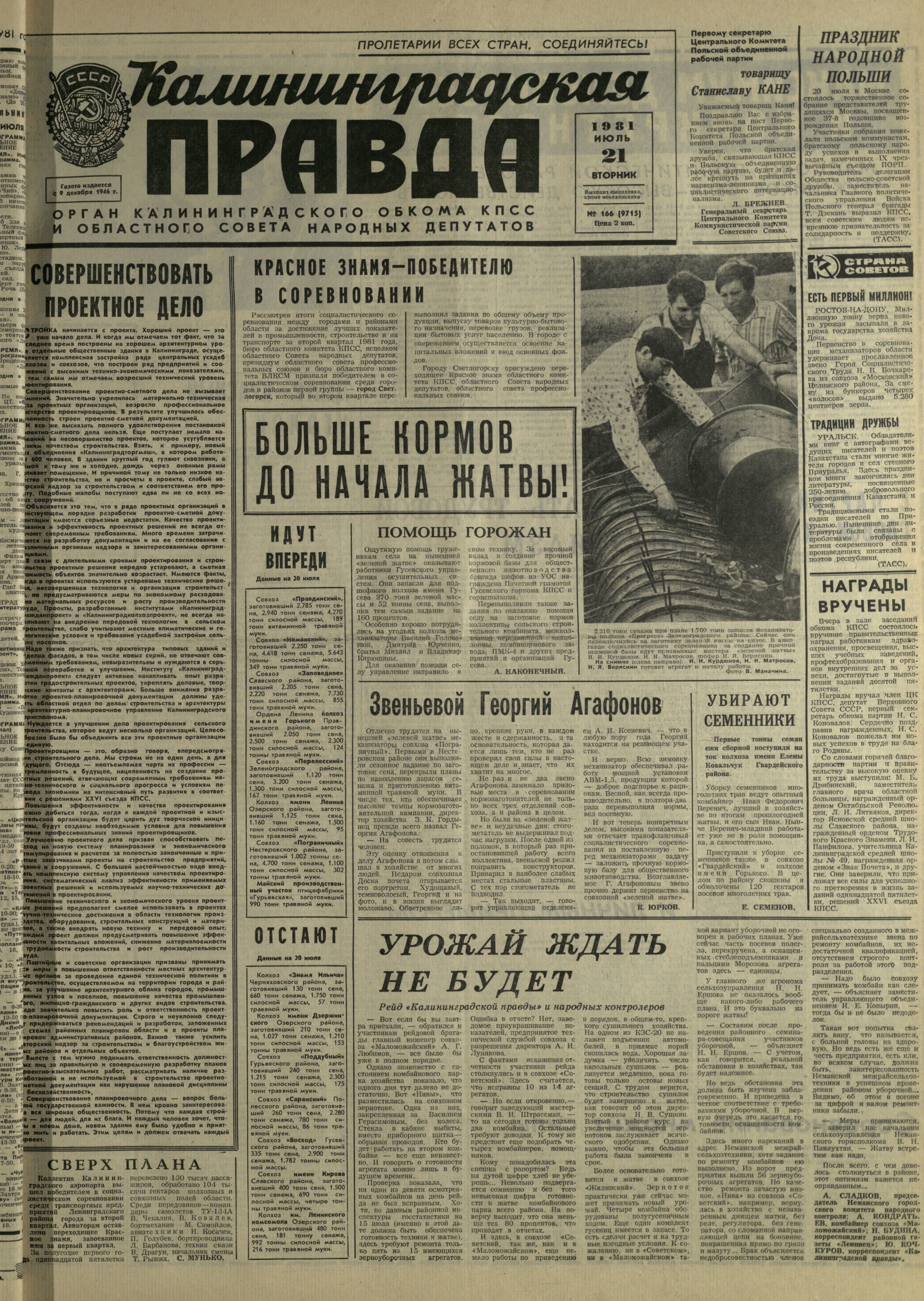 166-7-81-1