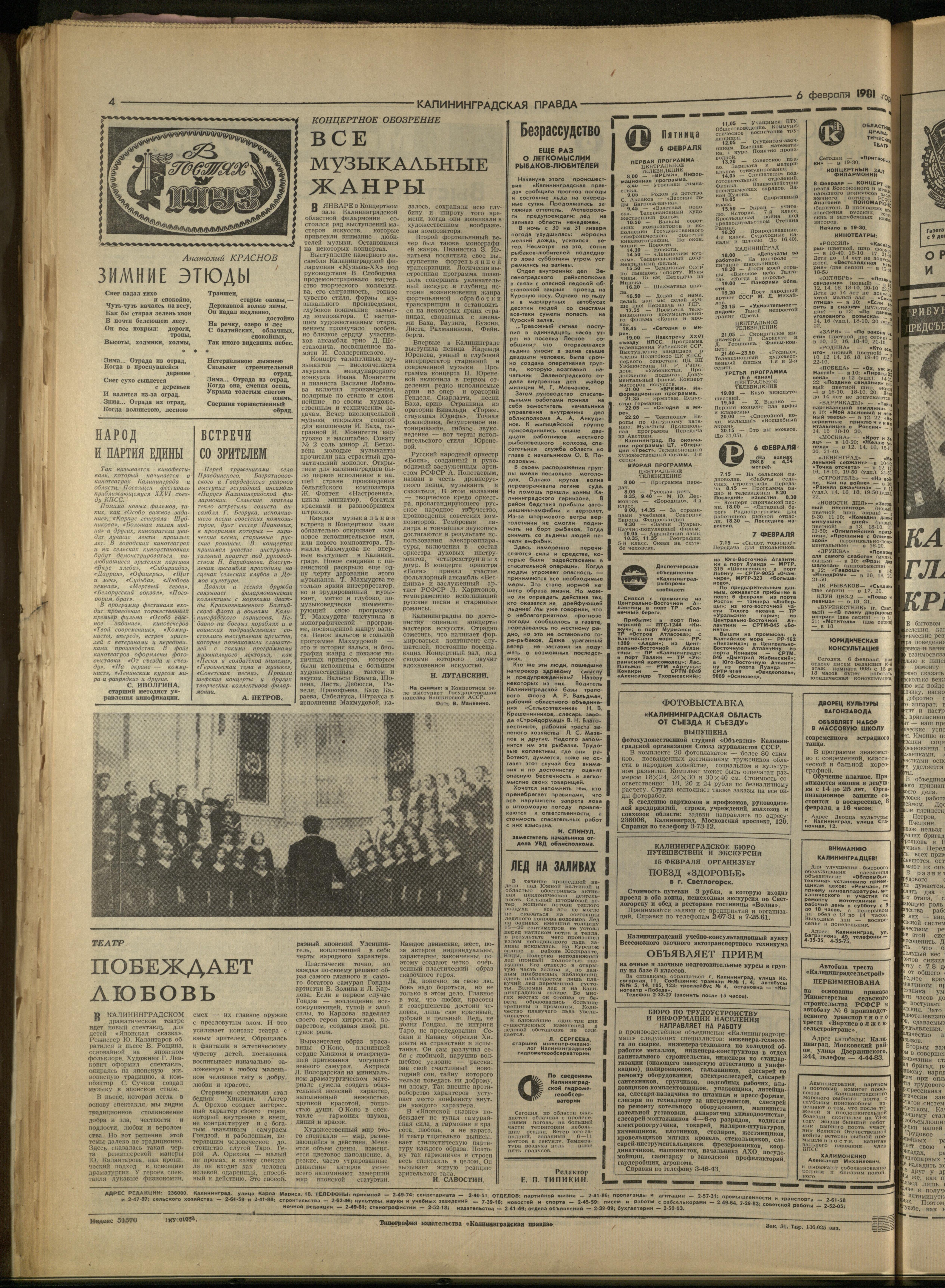 31-2-81-4