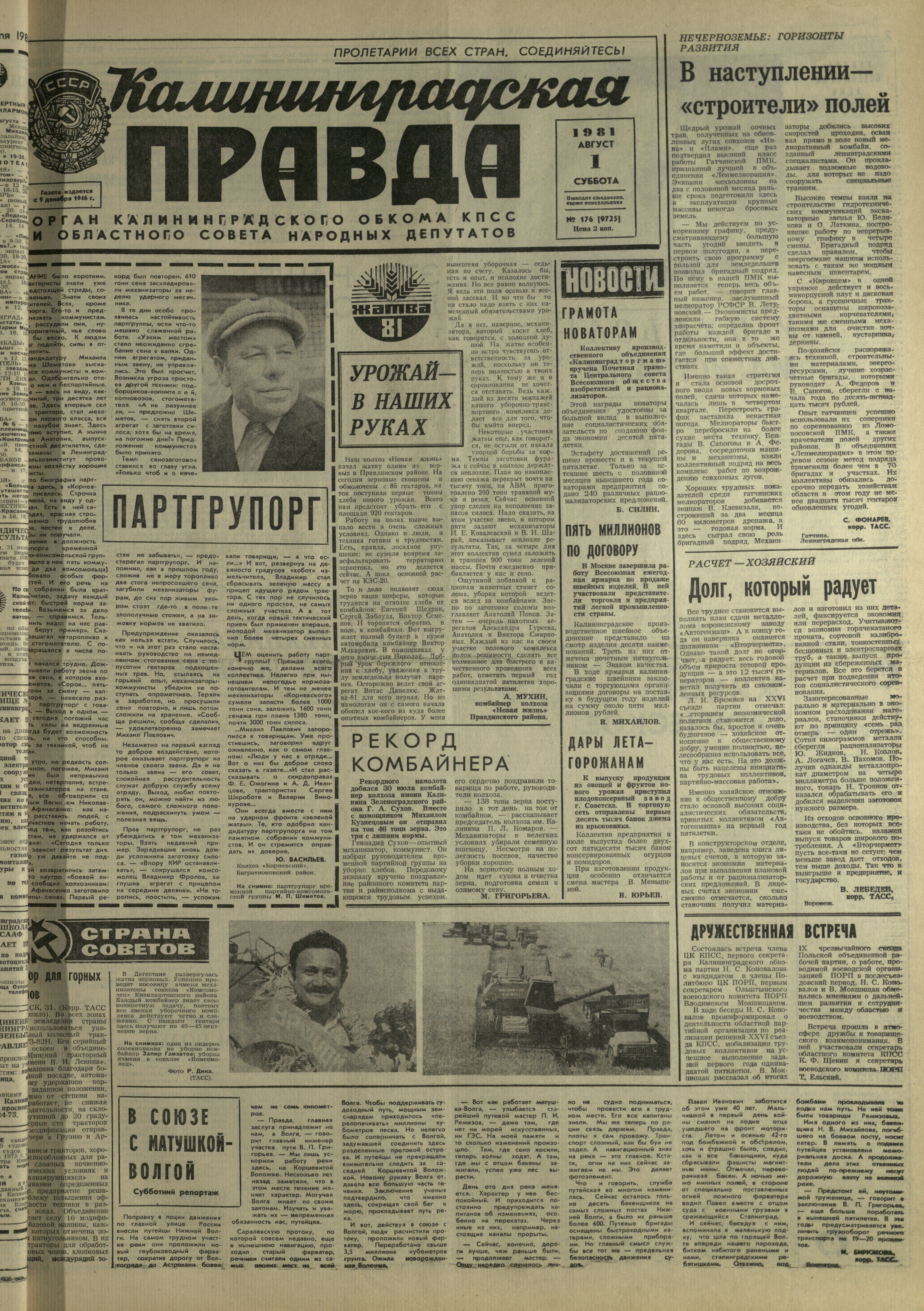 176-8-81-1