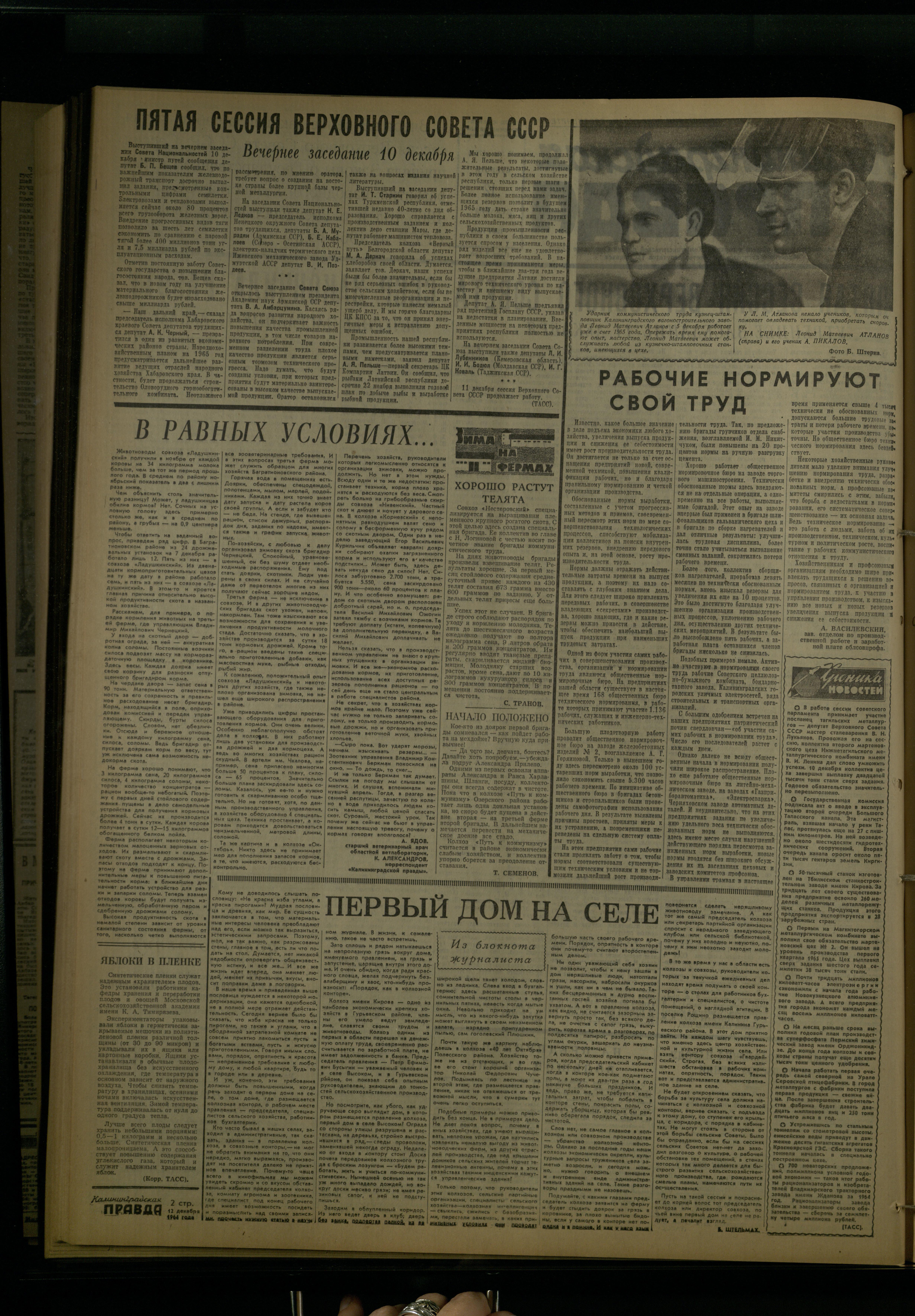 291-12-64-2