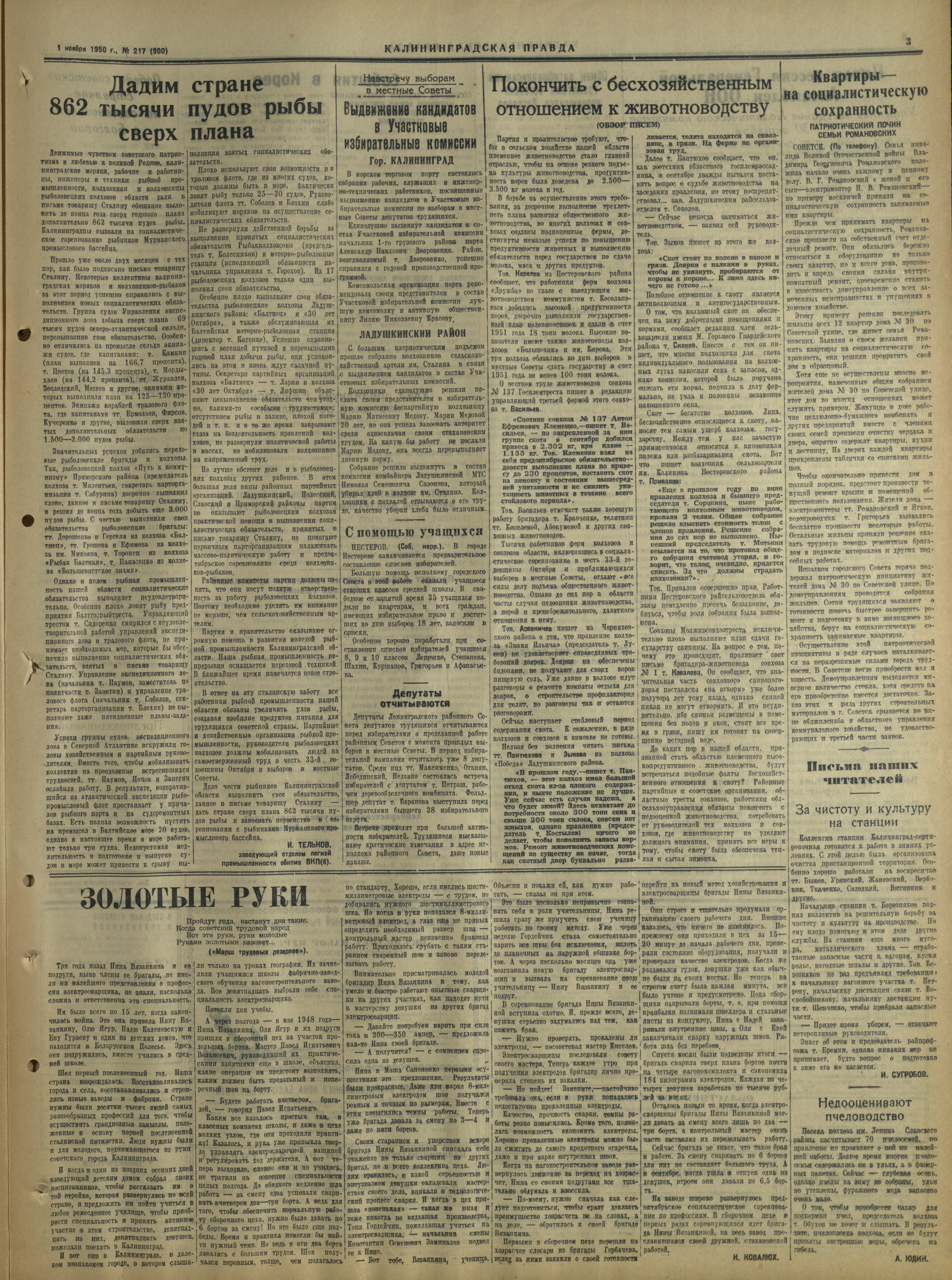217-11-50-3