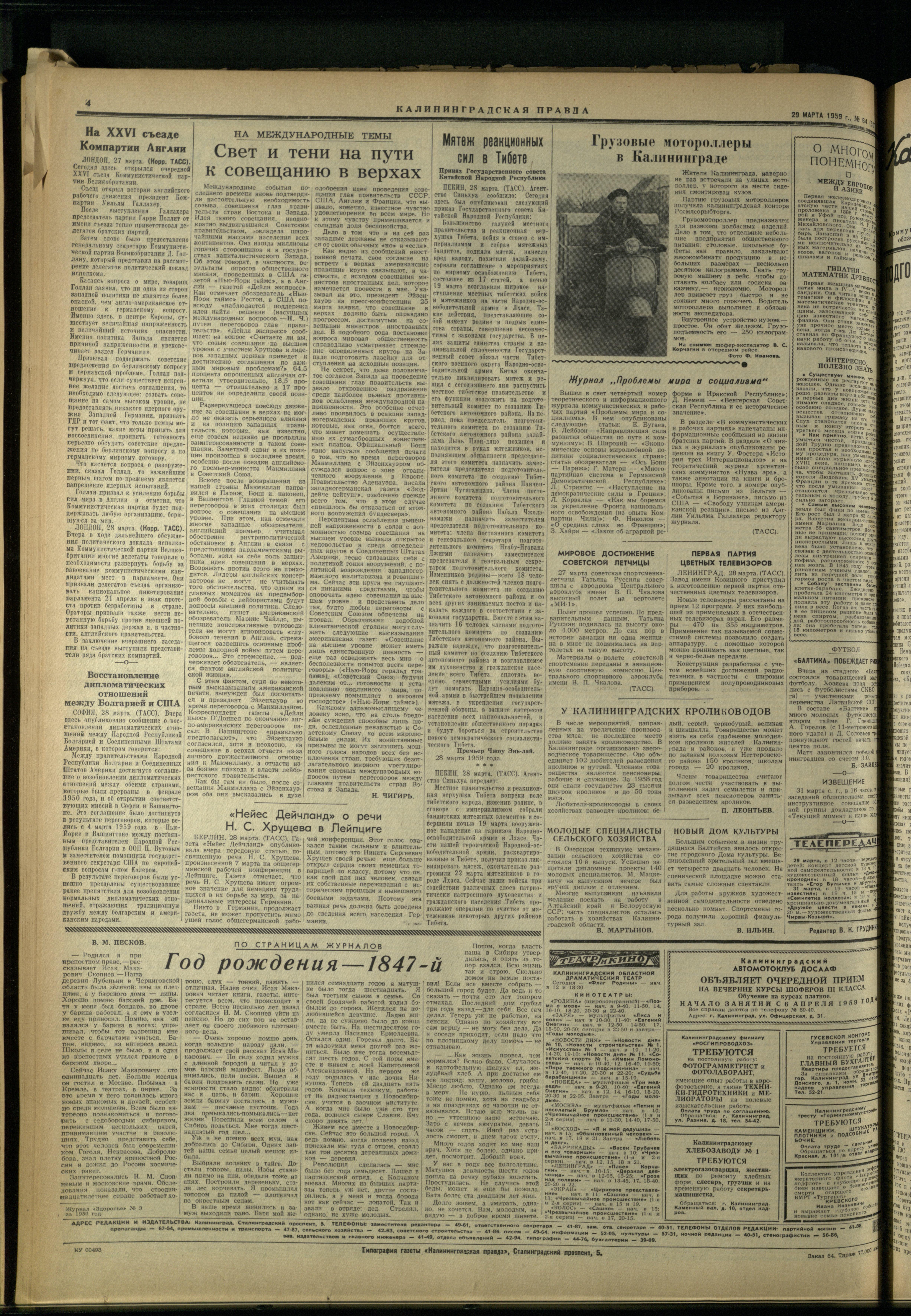 64-3-59-4