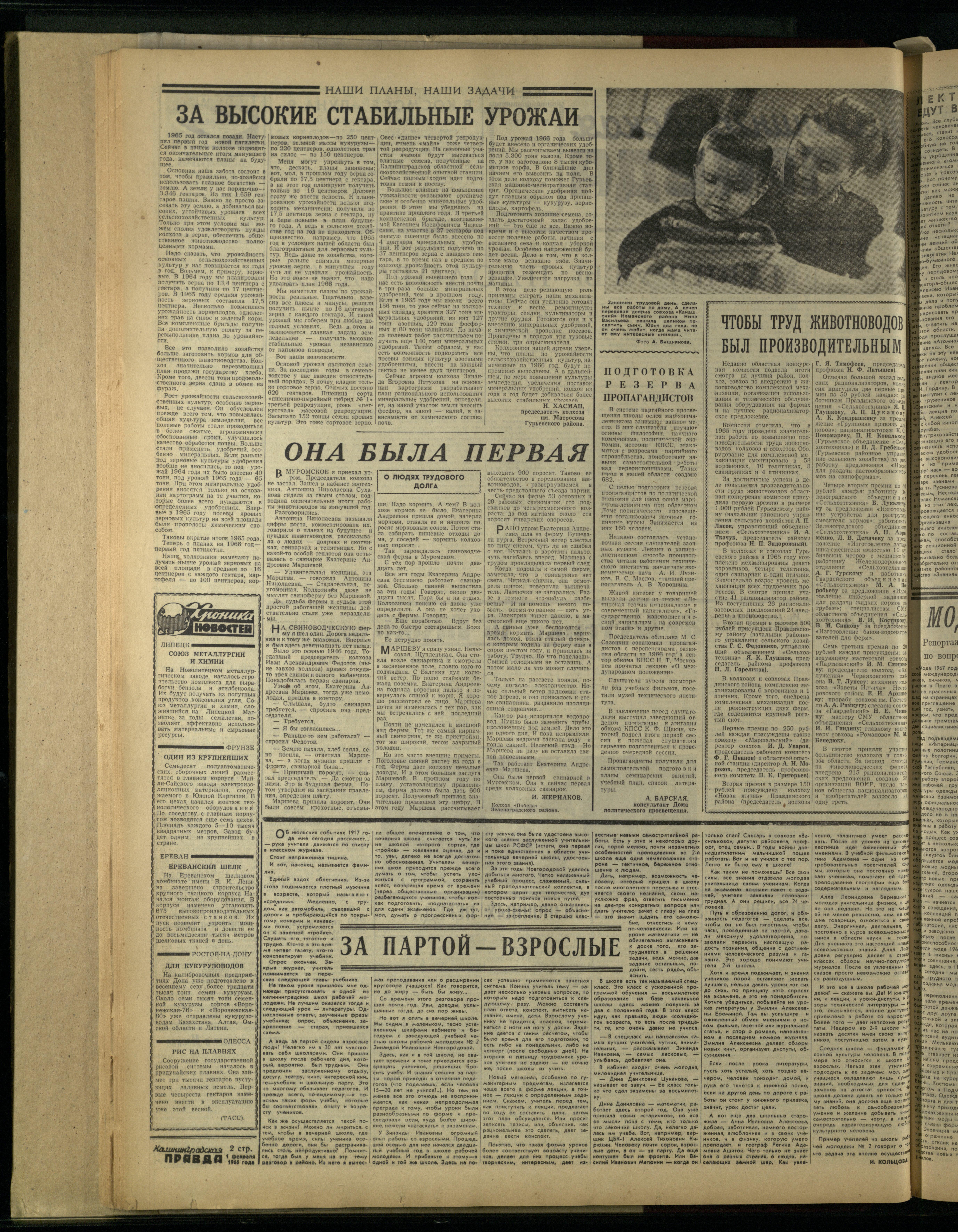 26-2-66-4