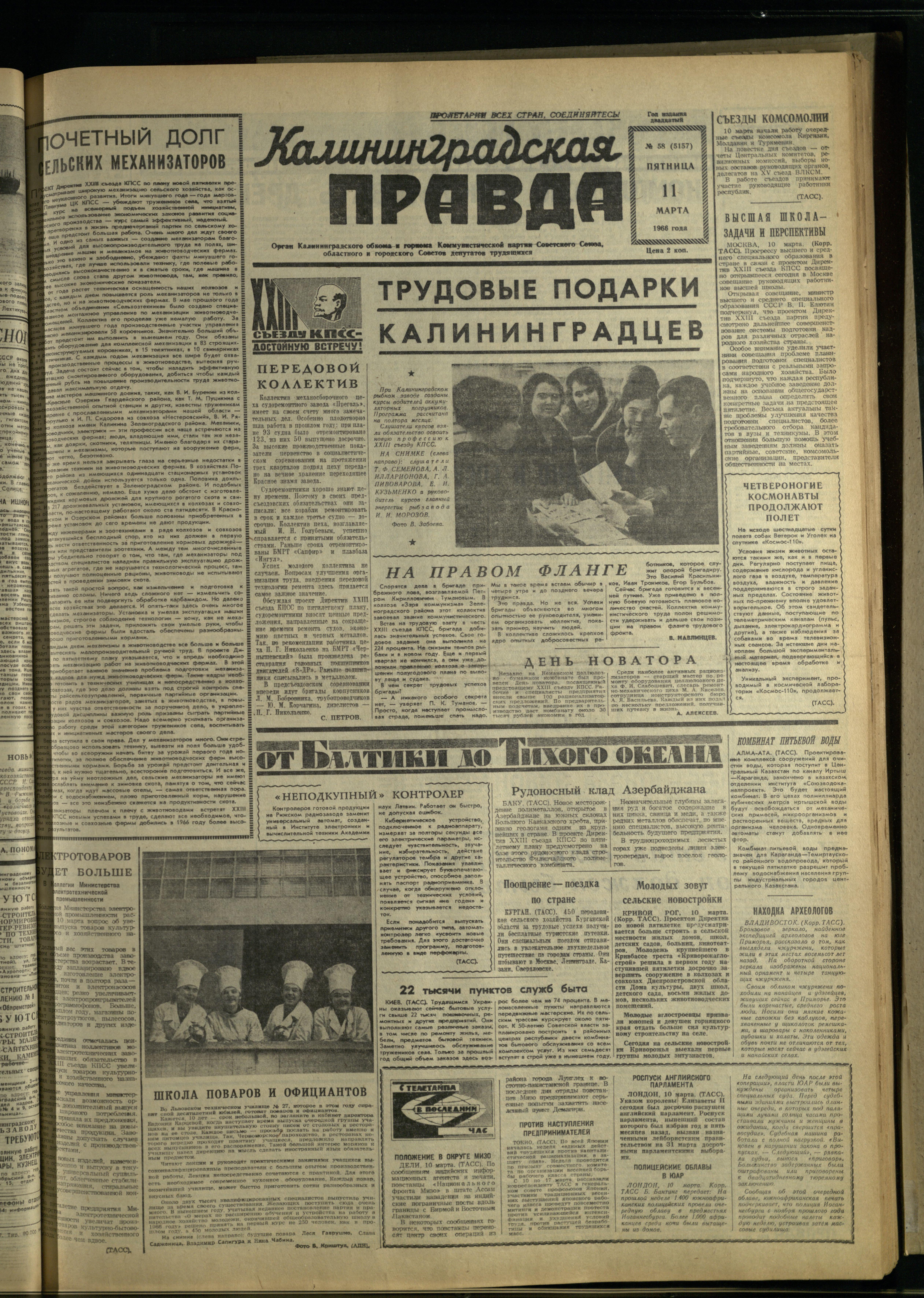 58-3-66-1