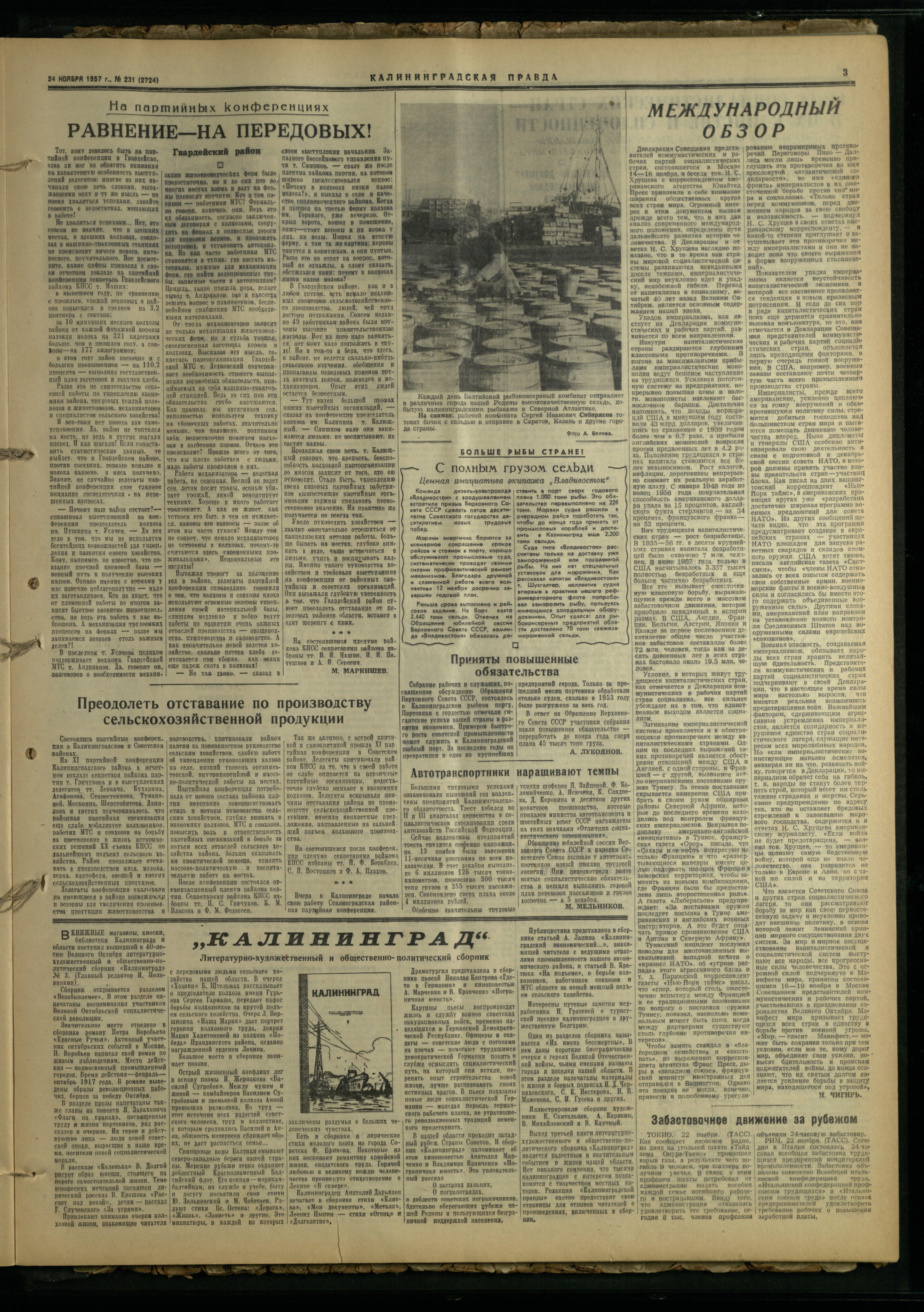 231-11-57-3