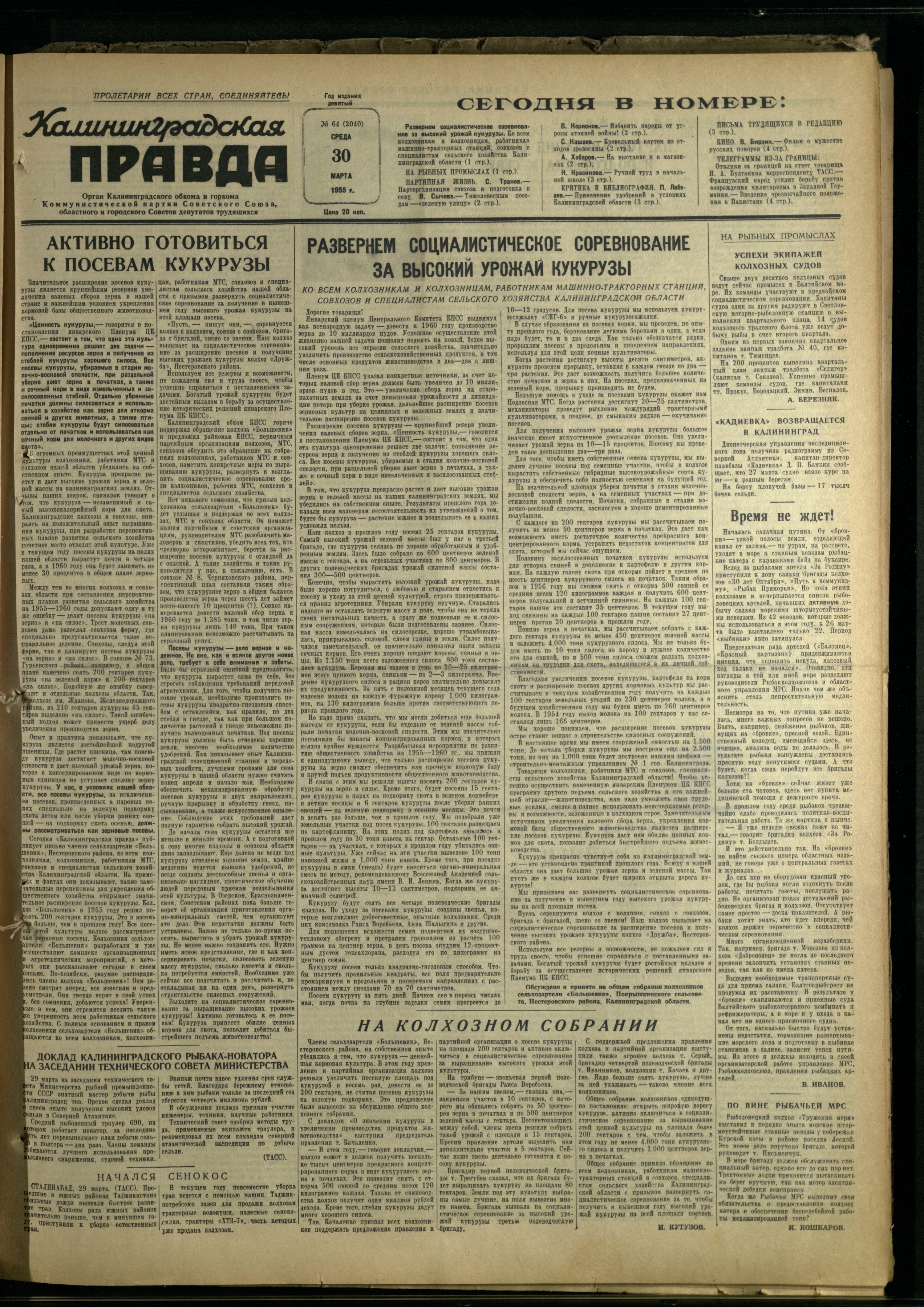 64-3-55-1