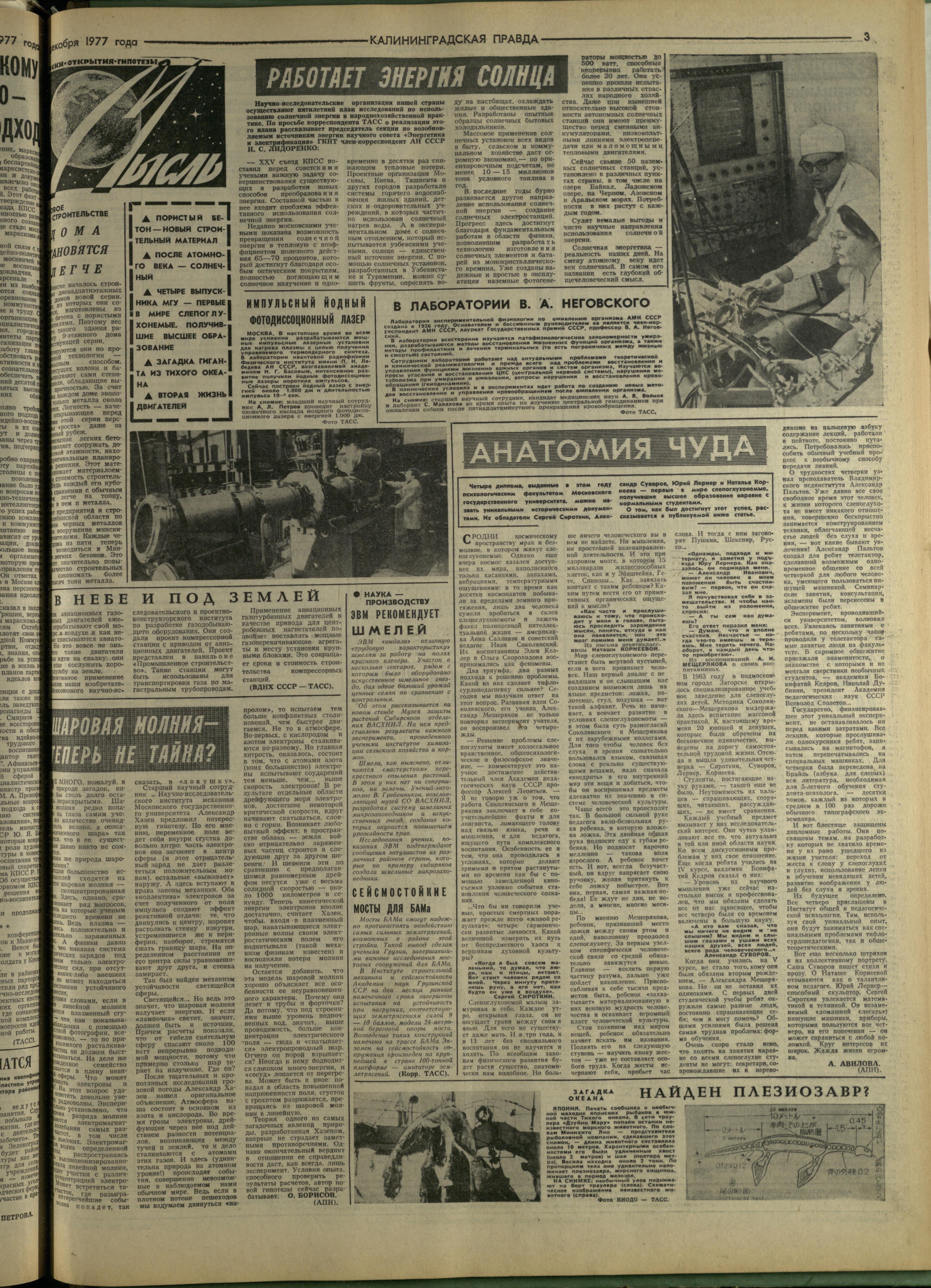 281-12-77-3