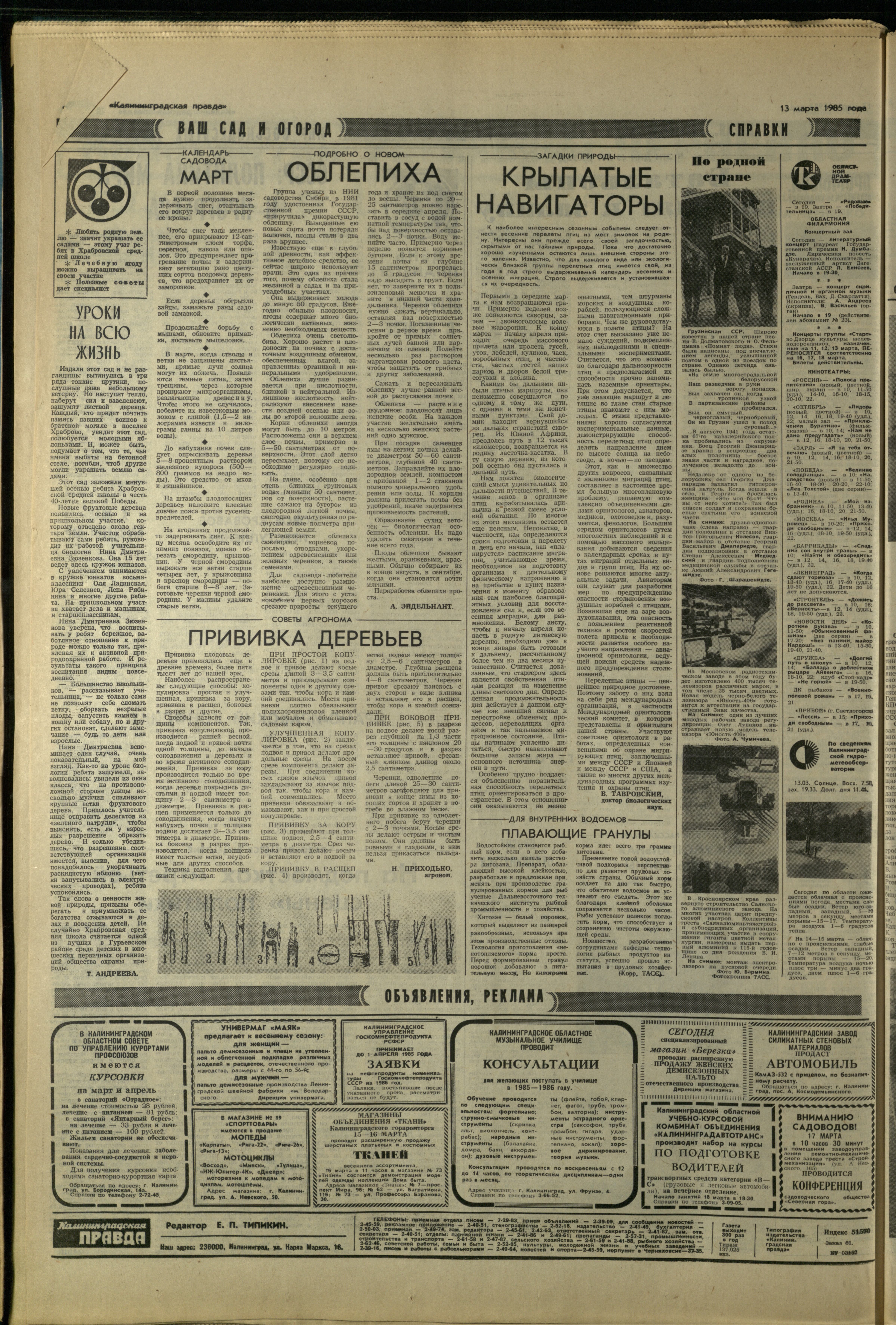 61-3-85-4