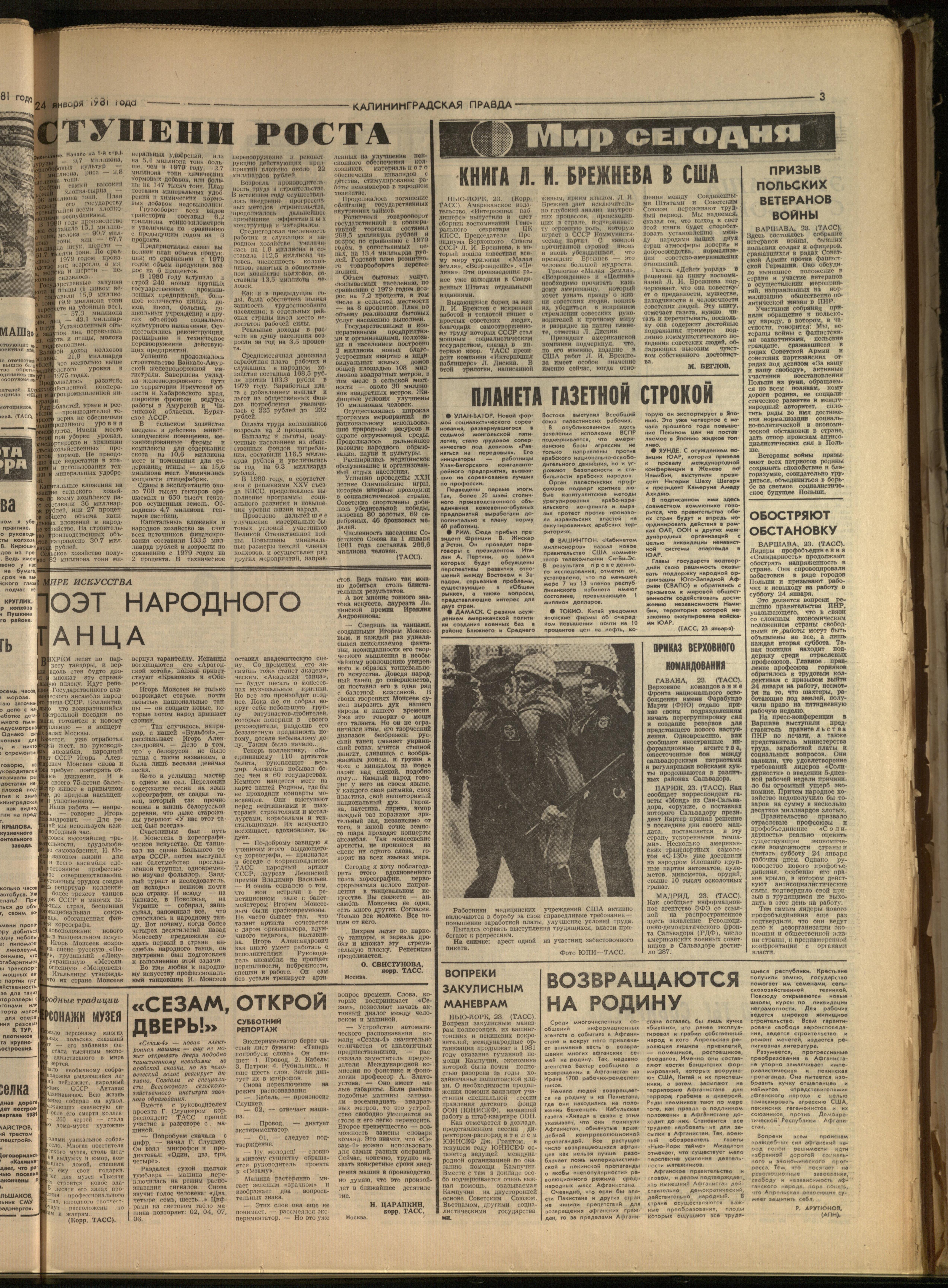 20-1-81-3