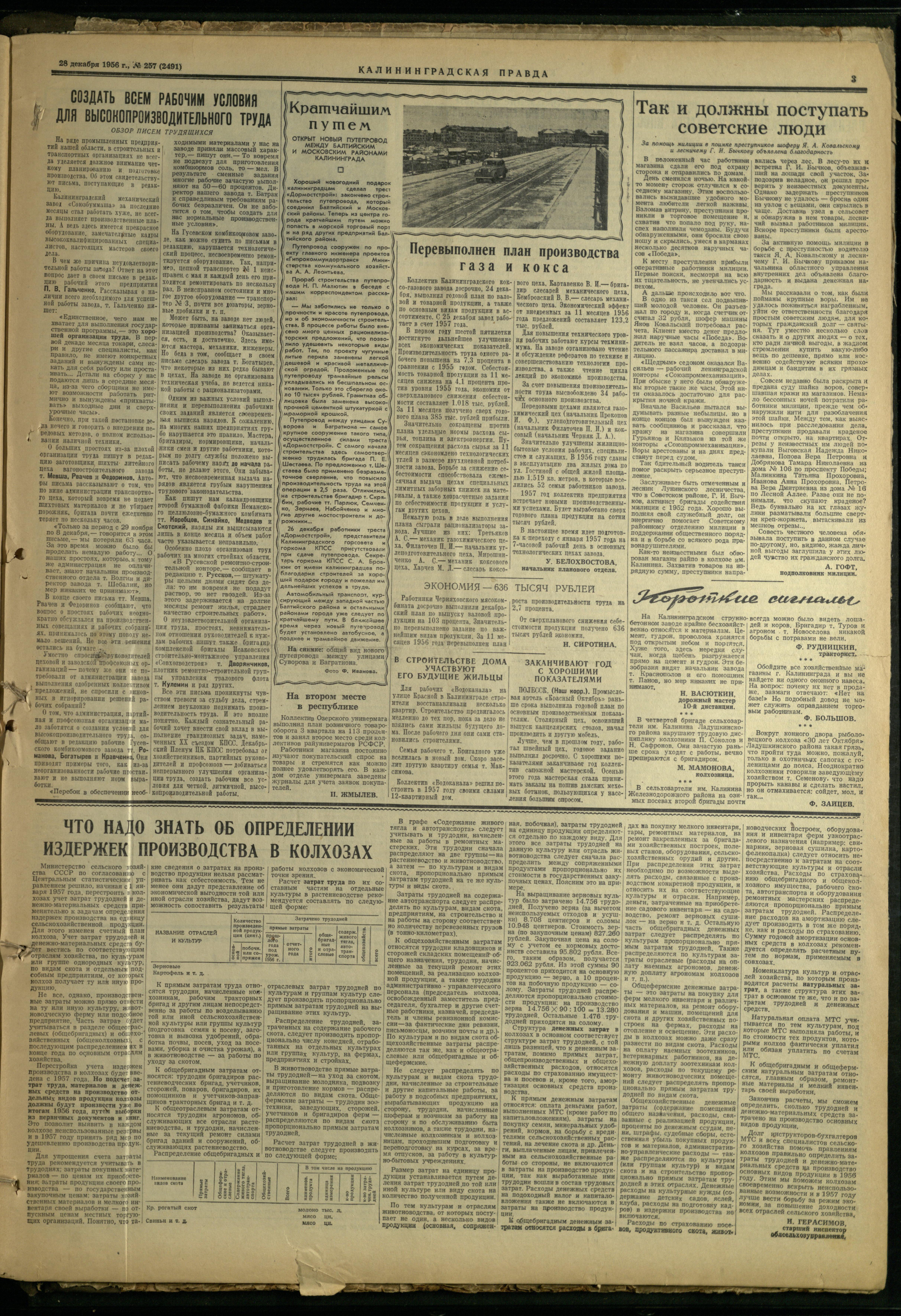 257-12-56-3