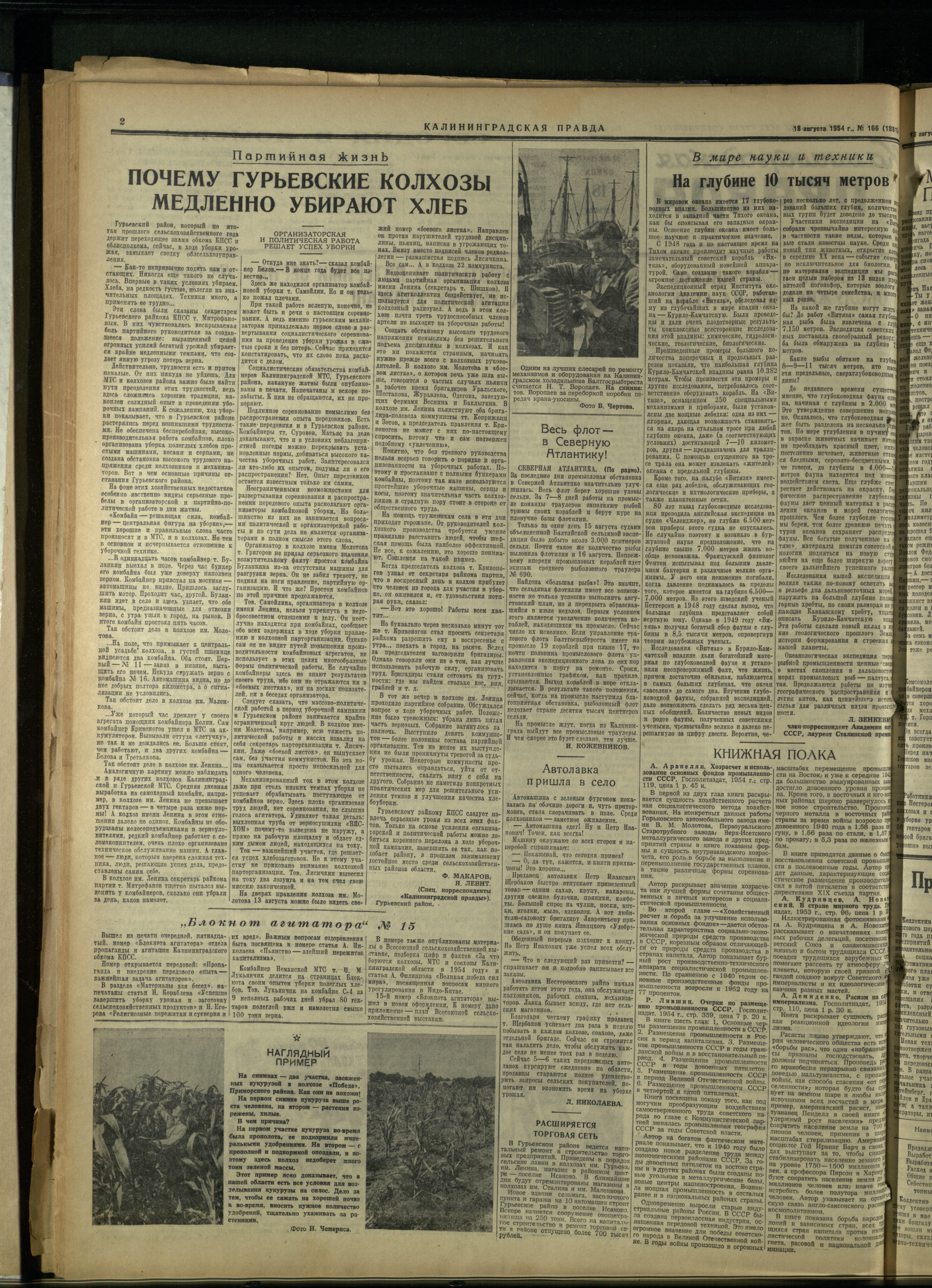 166-8-54-2
