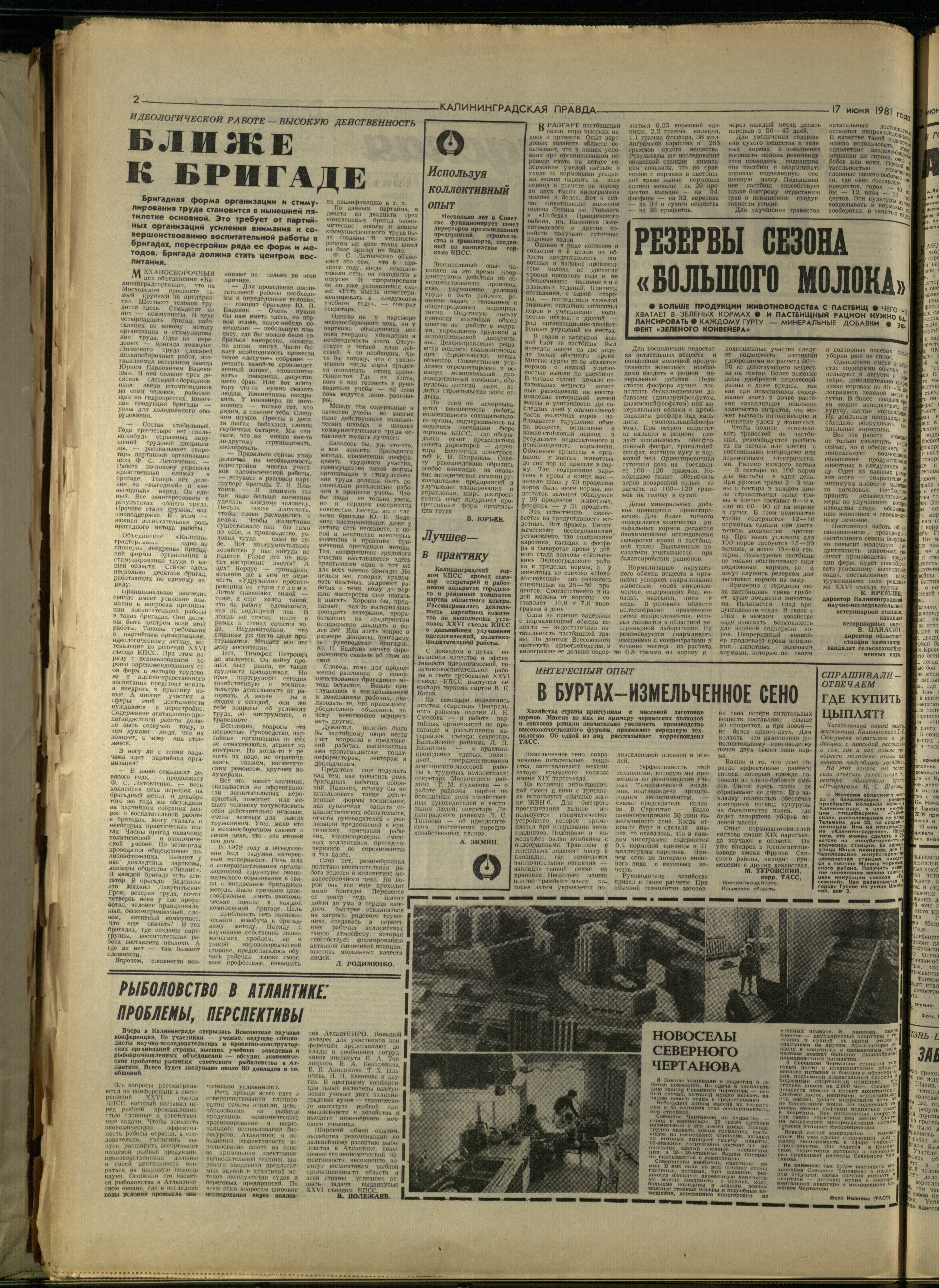 139-6-81-2