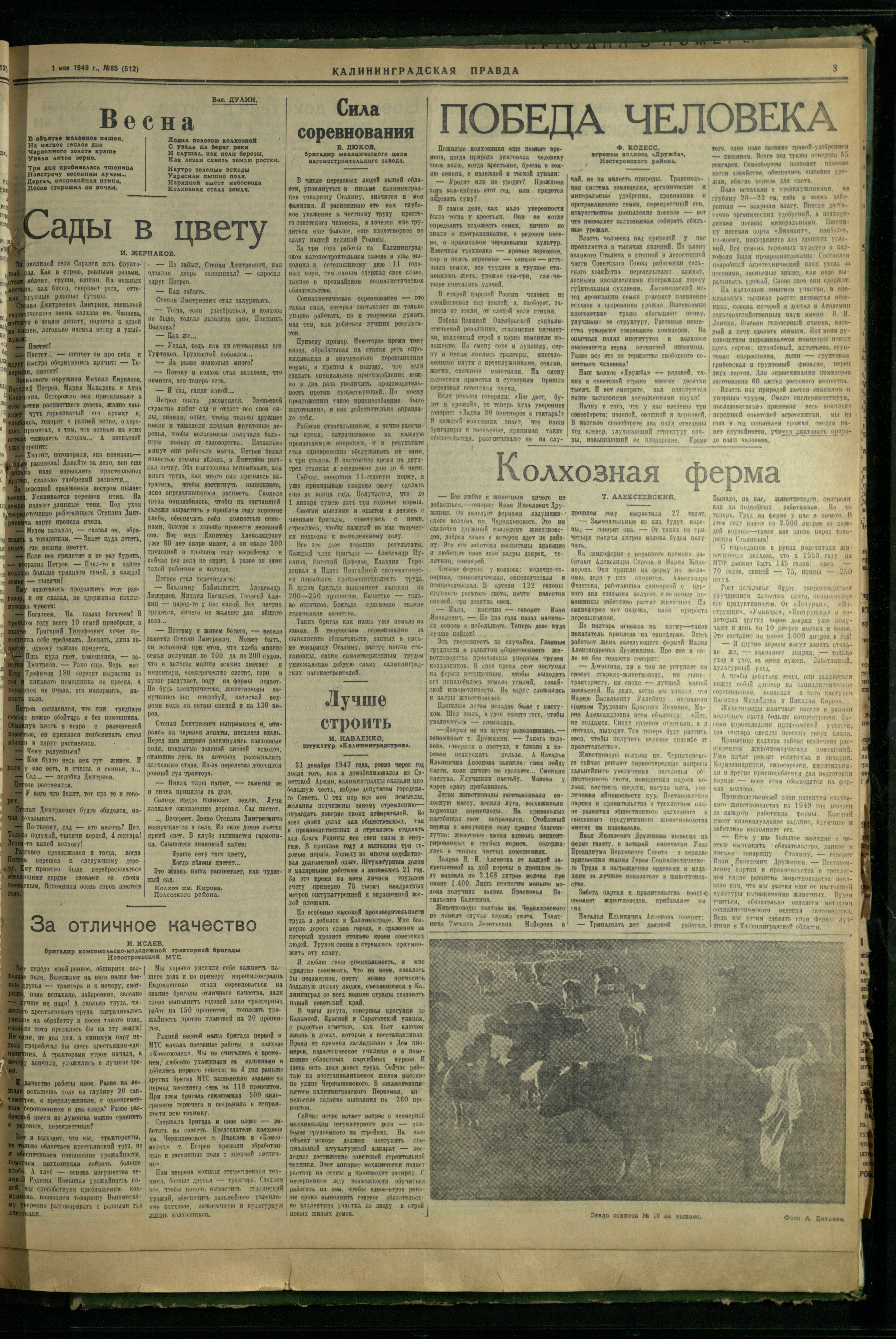 85-5-49-3