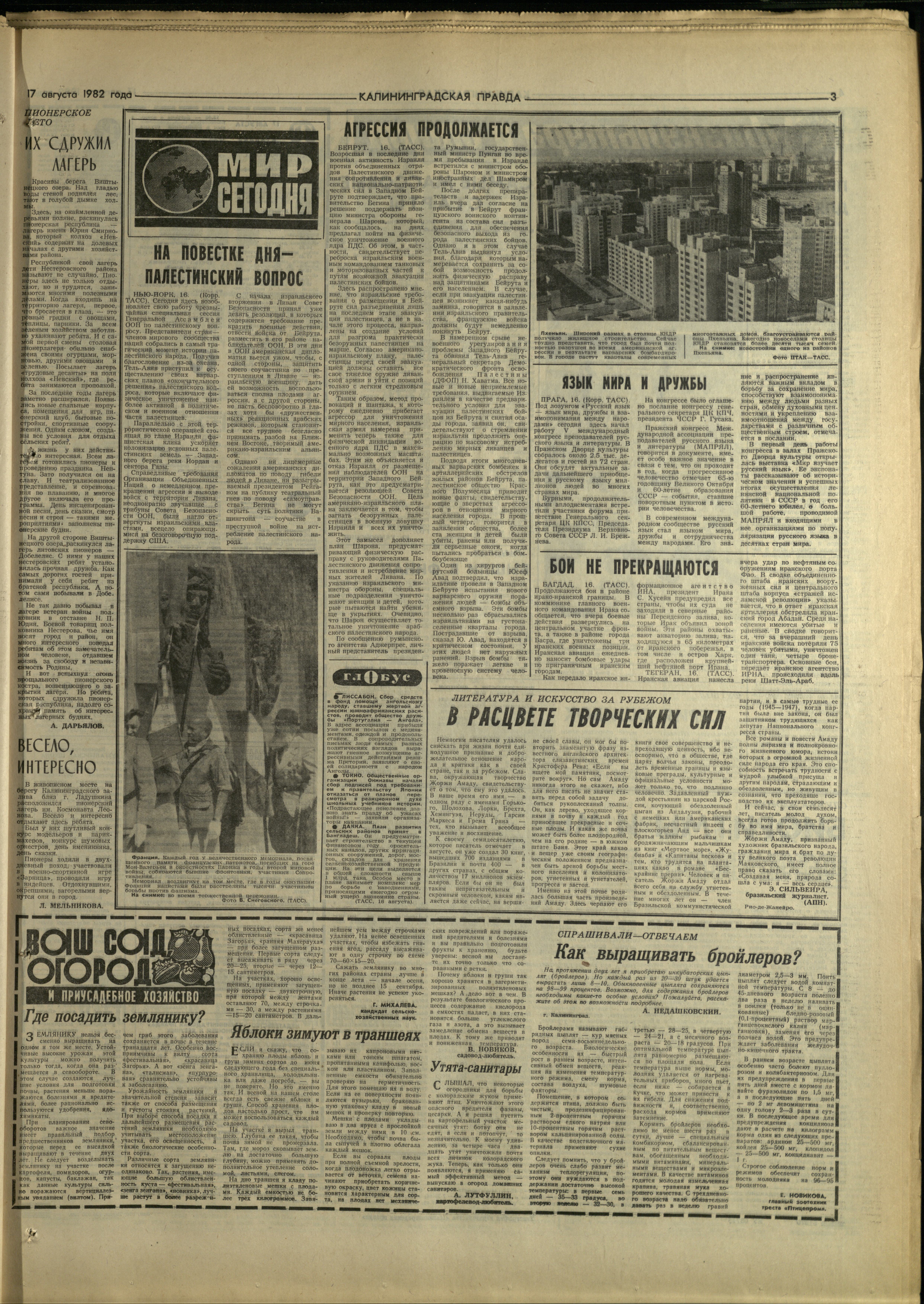 189-8-82-3