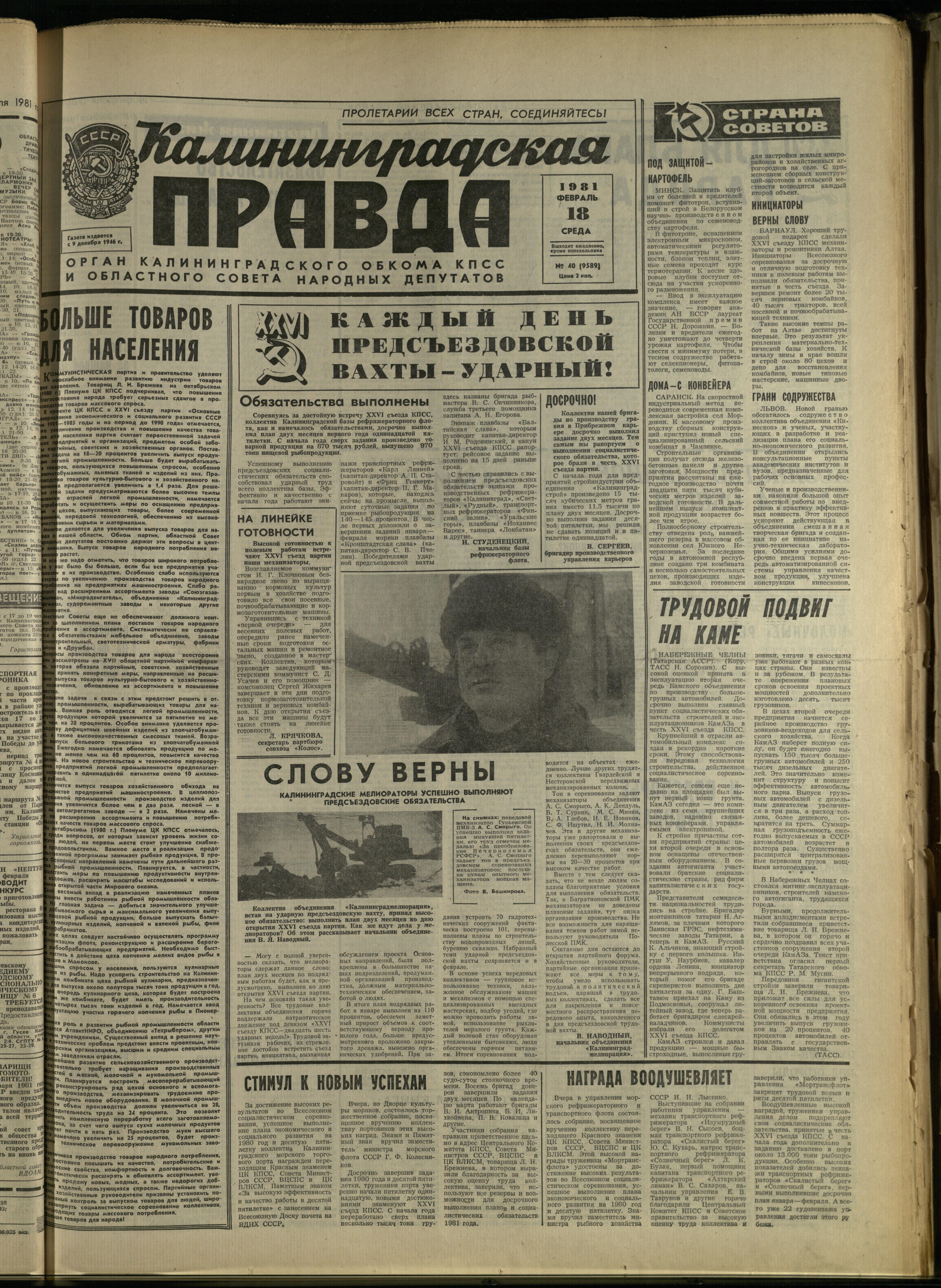 40-2-81-1