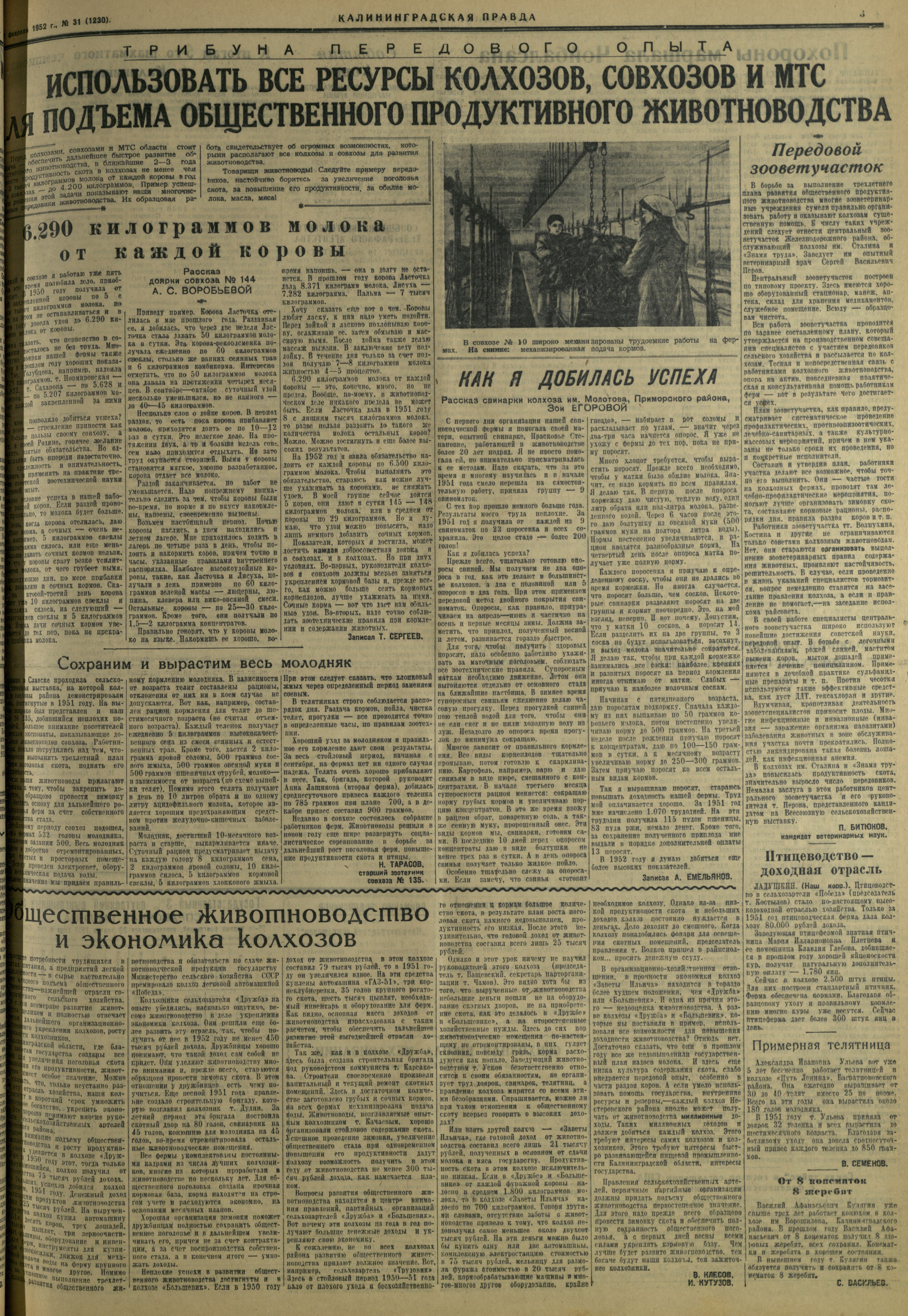 31-2-52-3