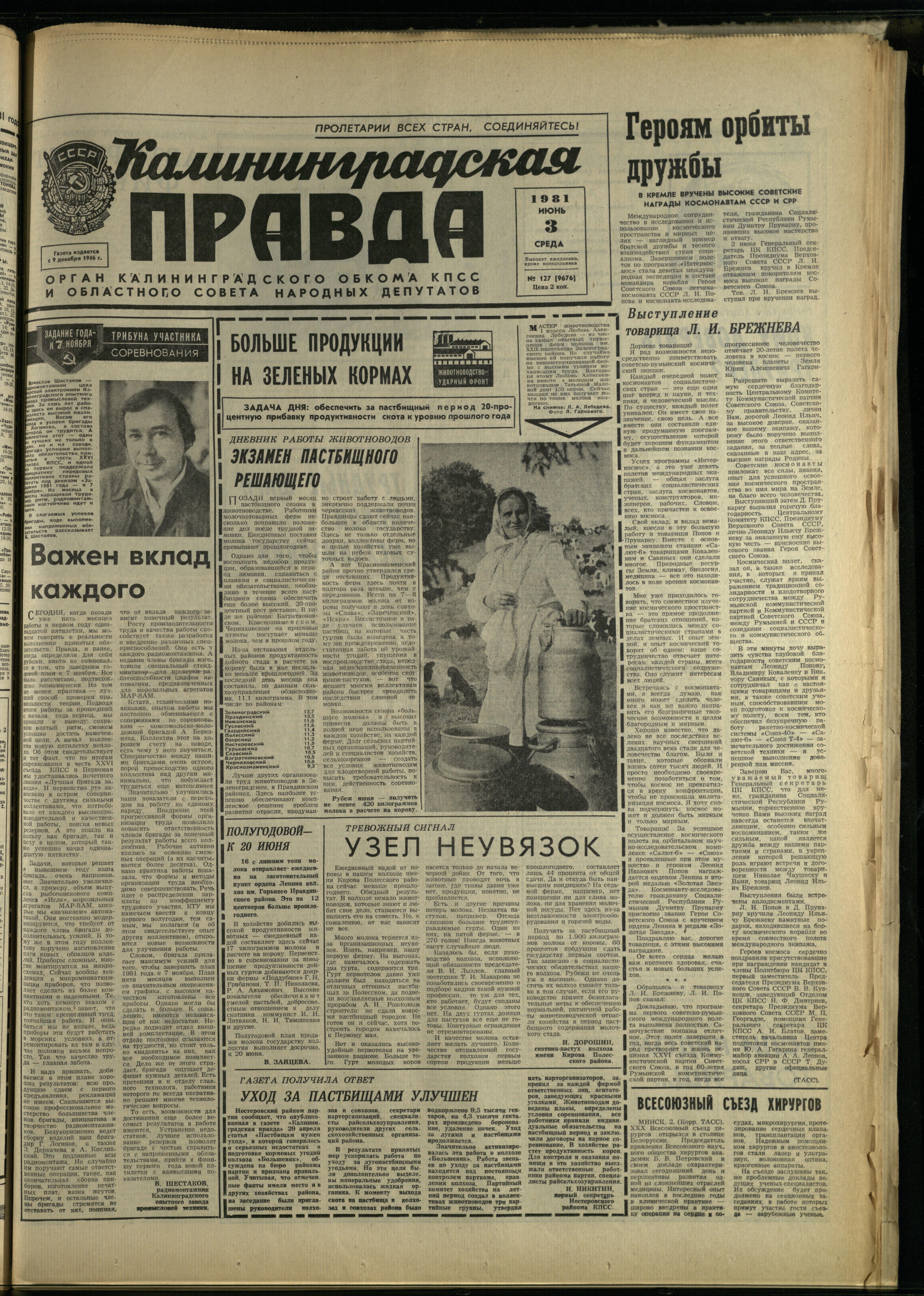 127-6-81-1