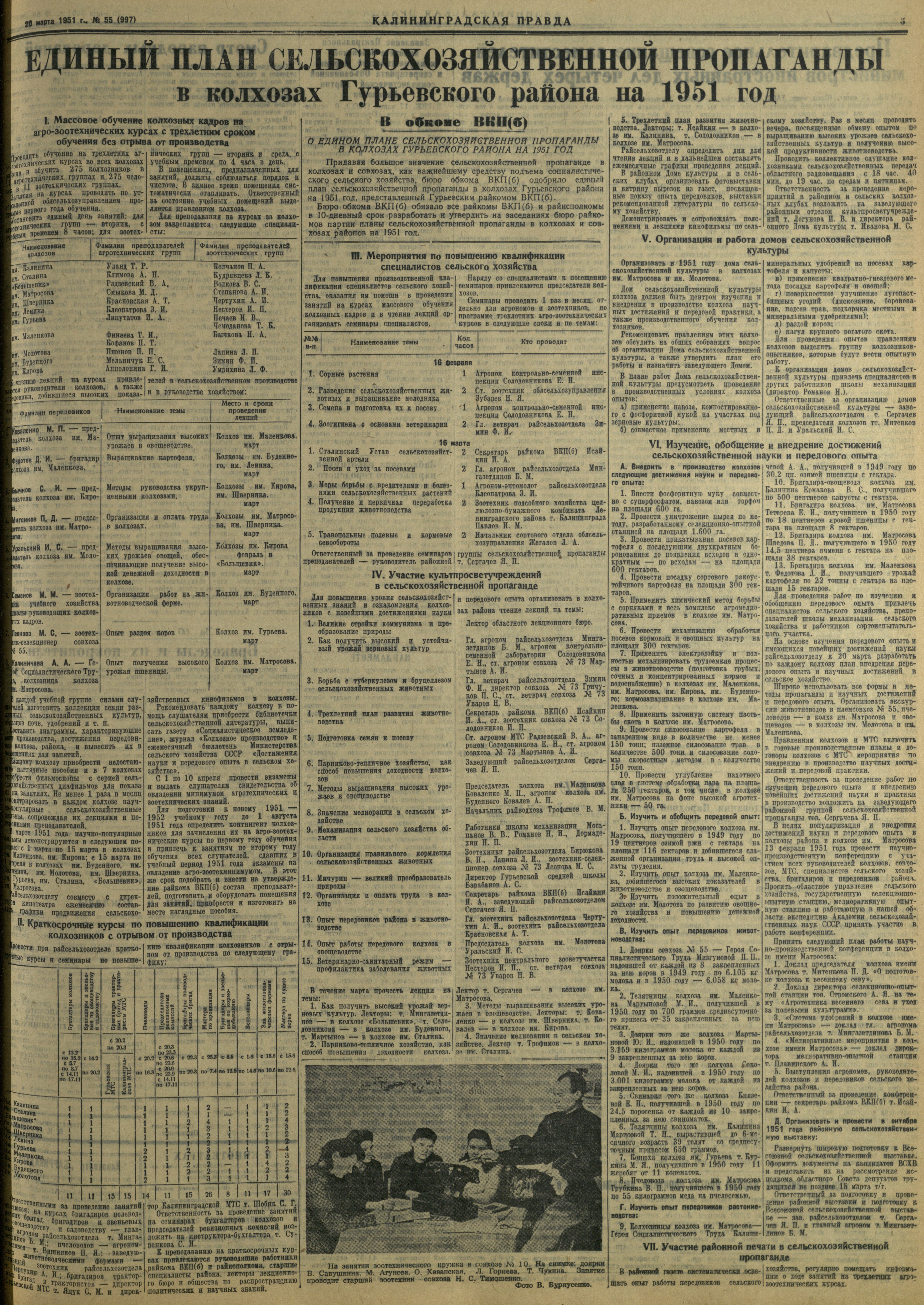 55-3-51-3
