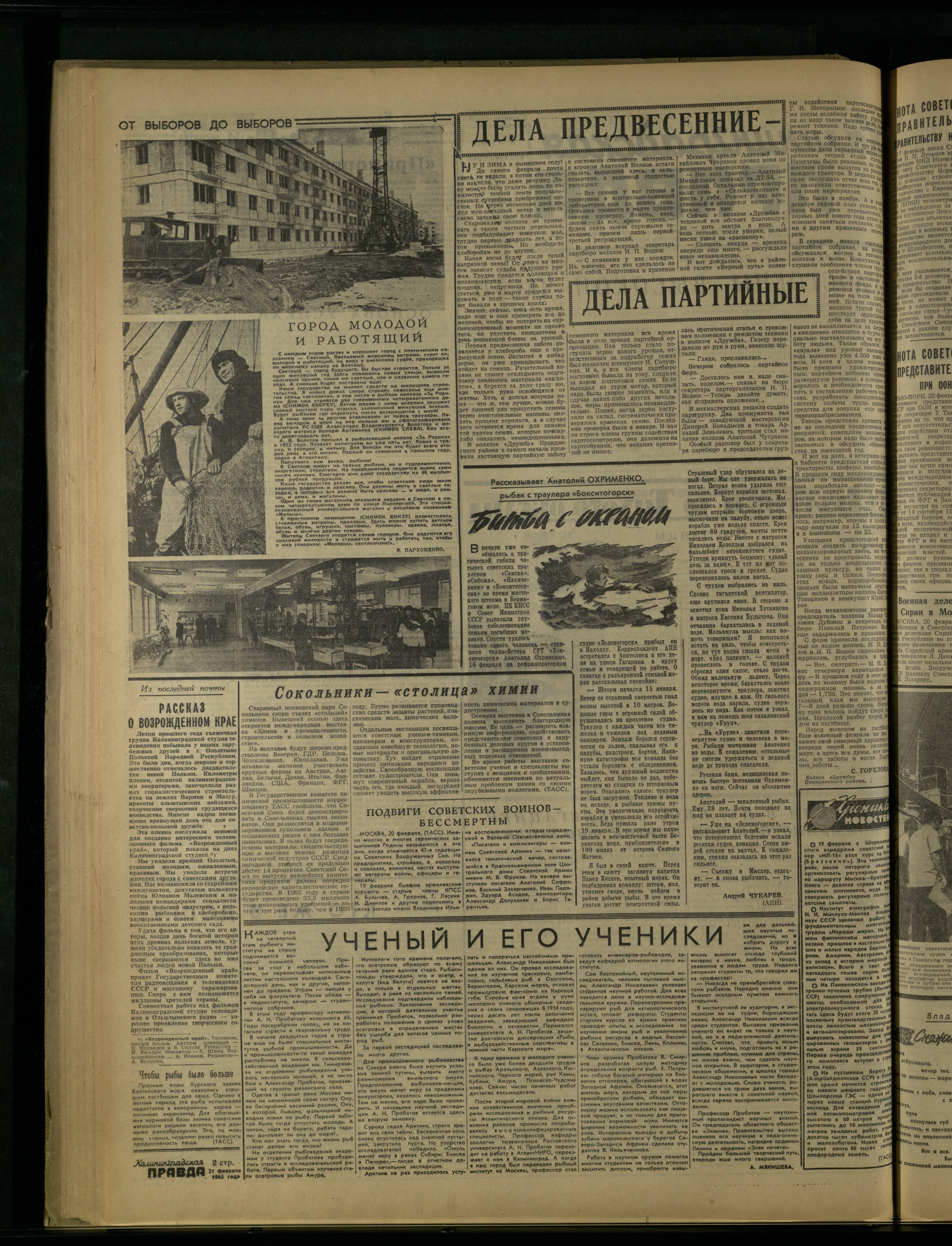 43-2-65-2