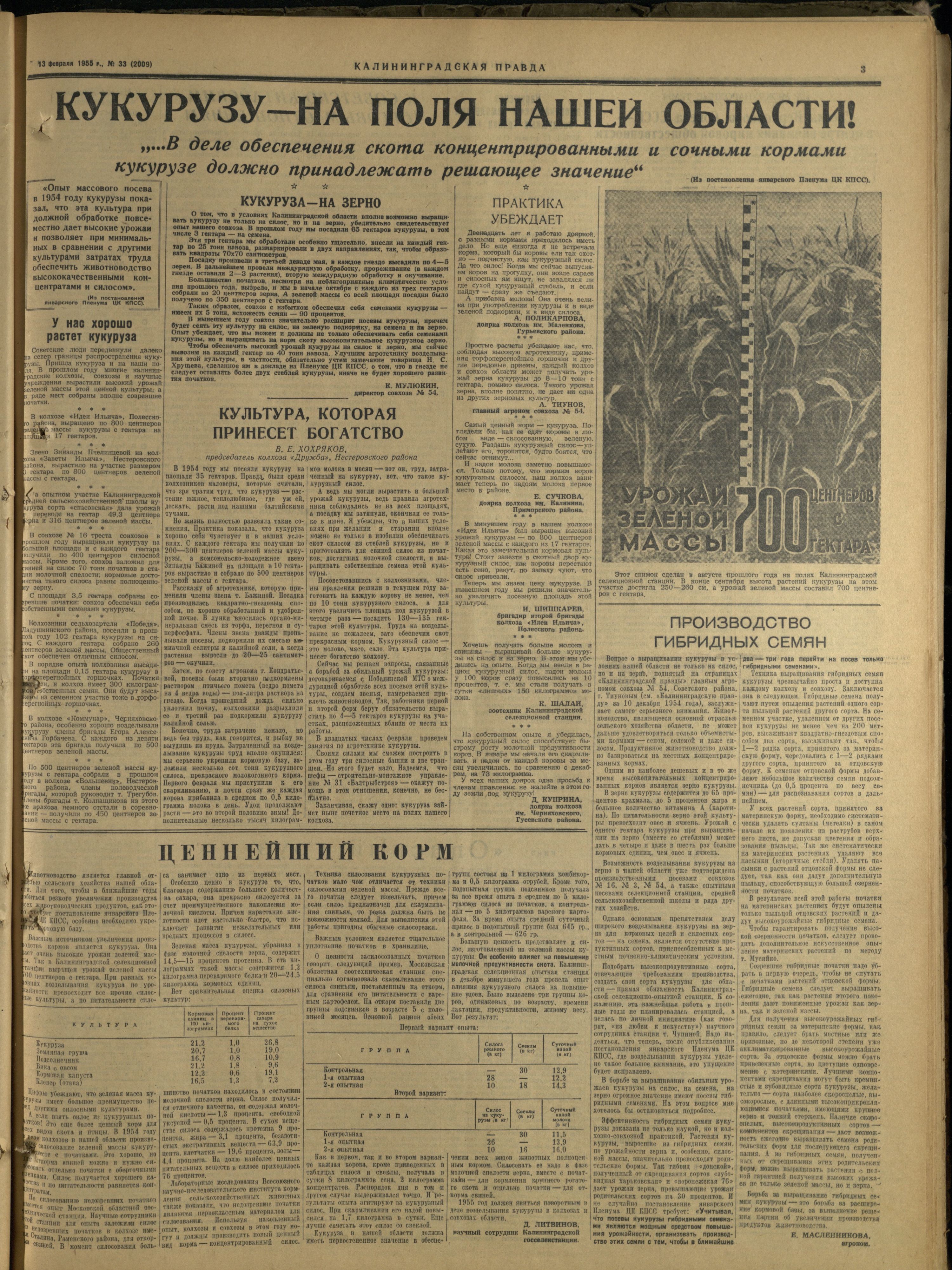 33-2-55-3