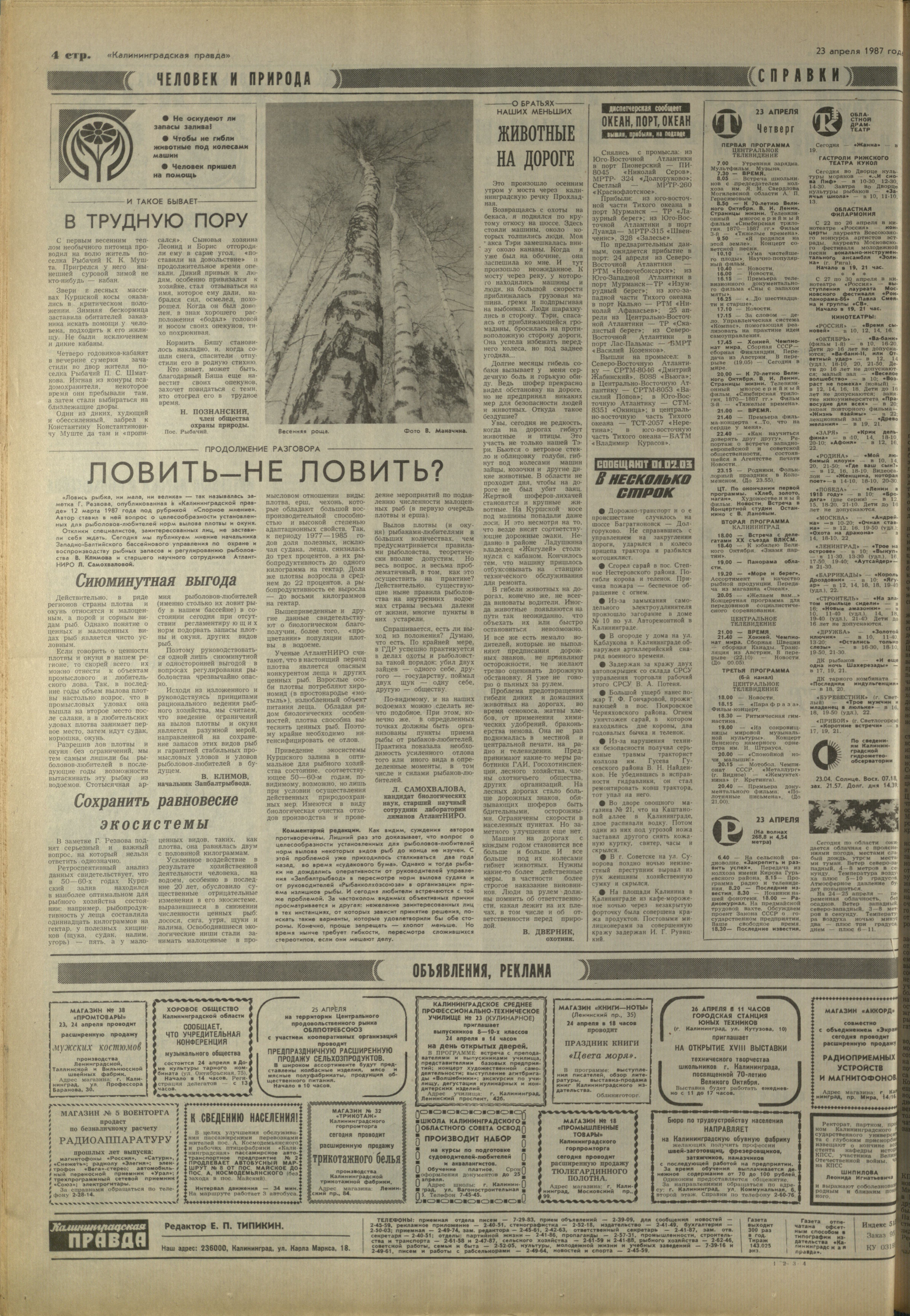 95-4-87-4