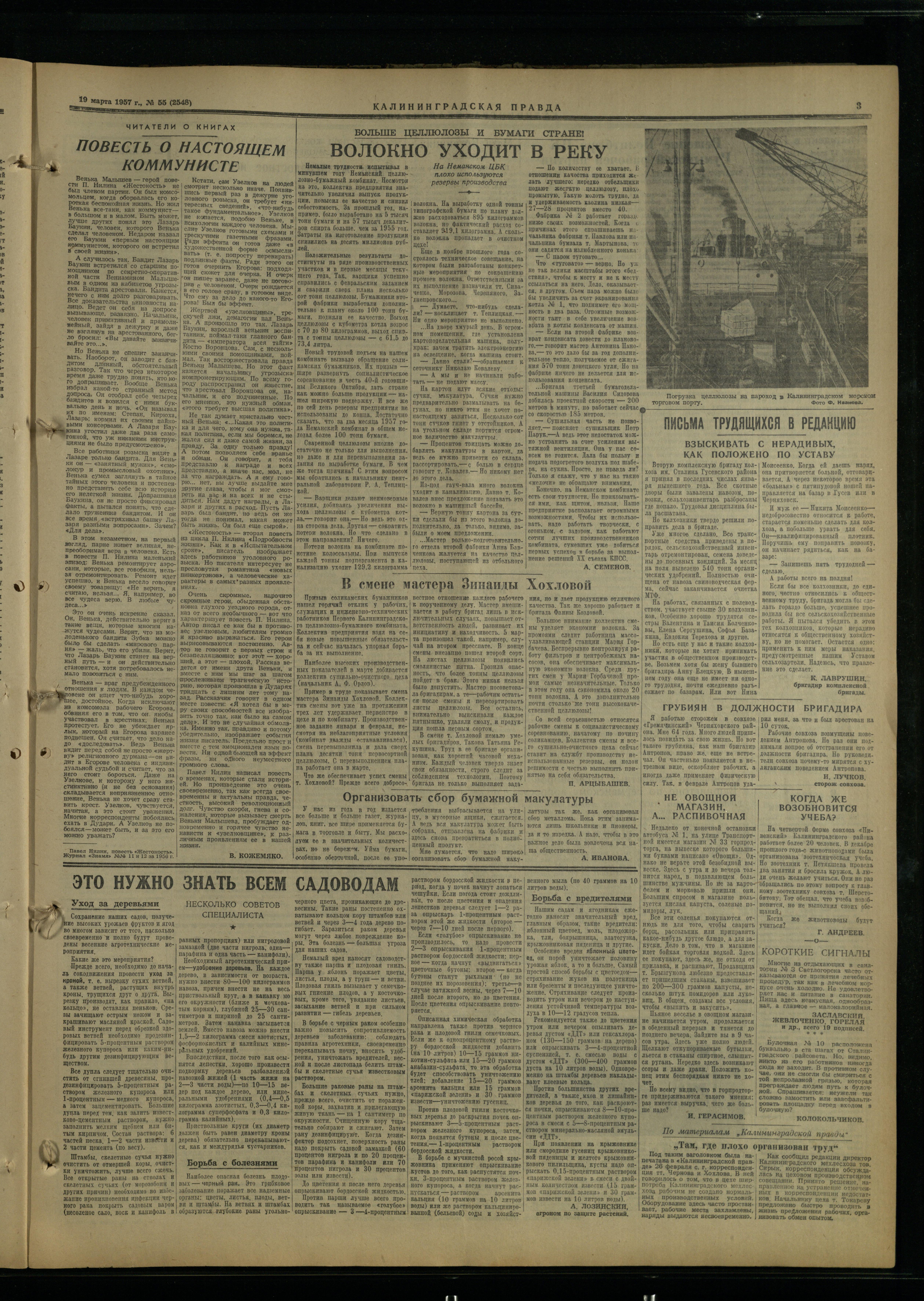 55-3-57-3