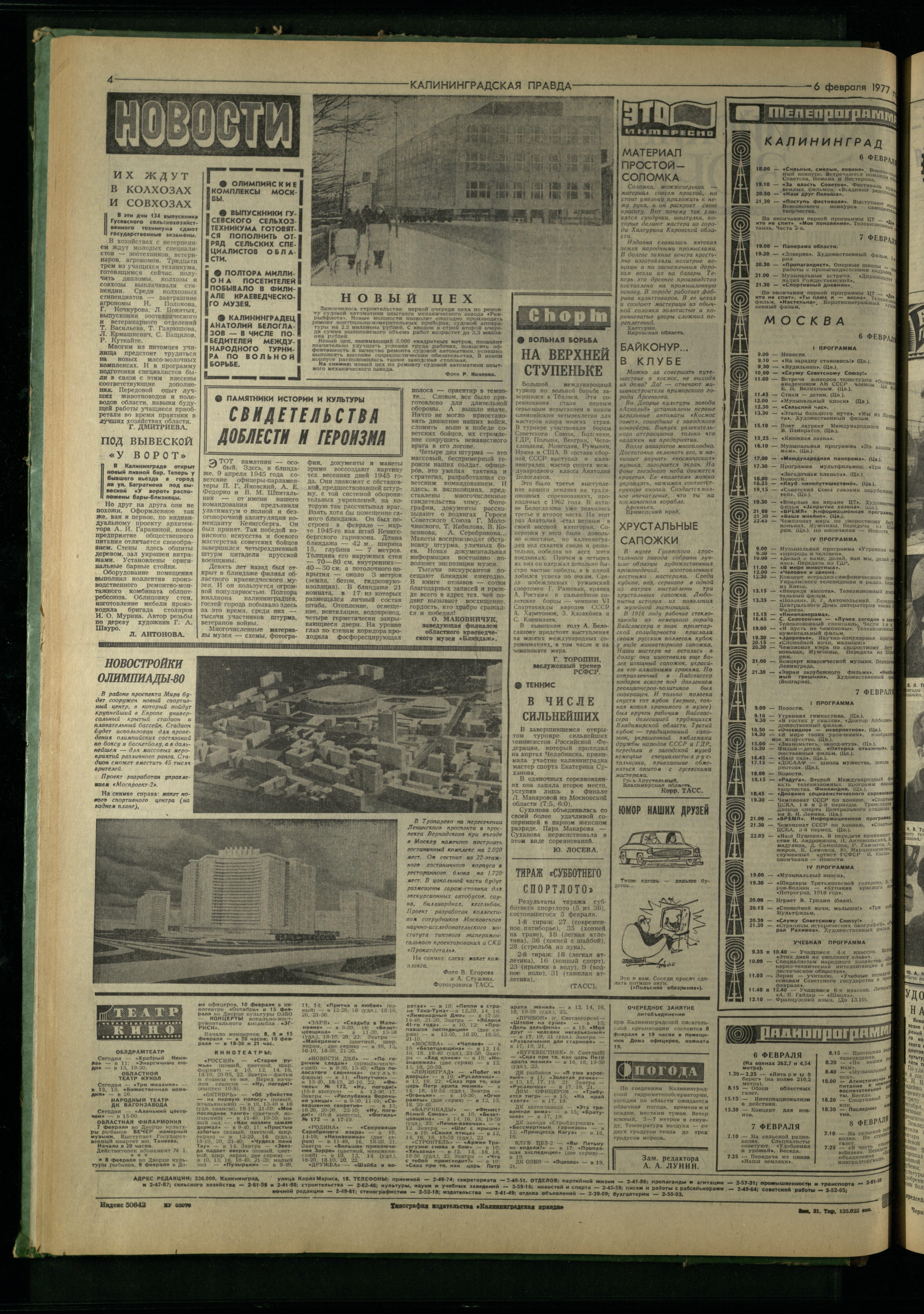 31-2-77-4
