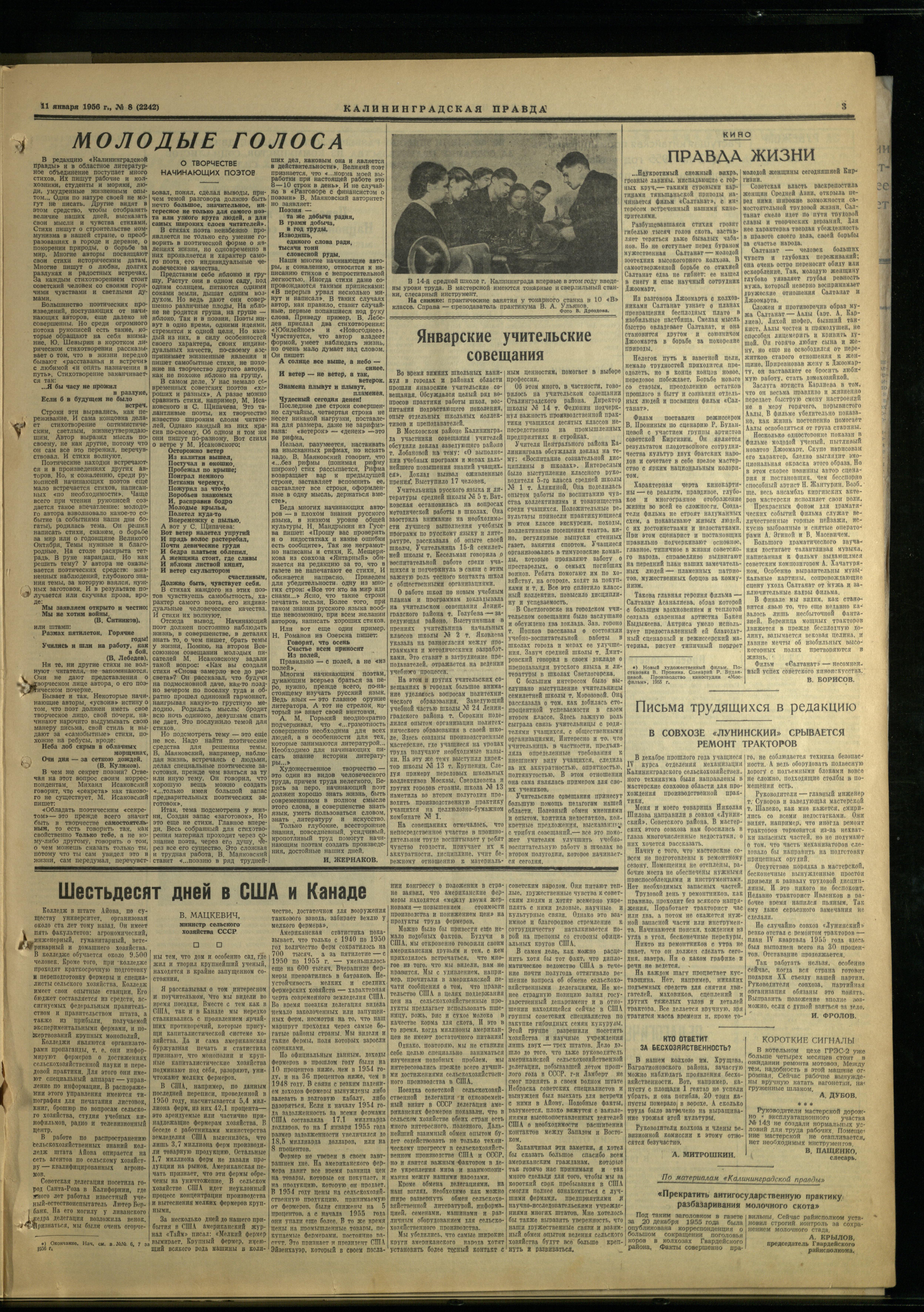 8-1-56-3