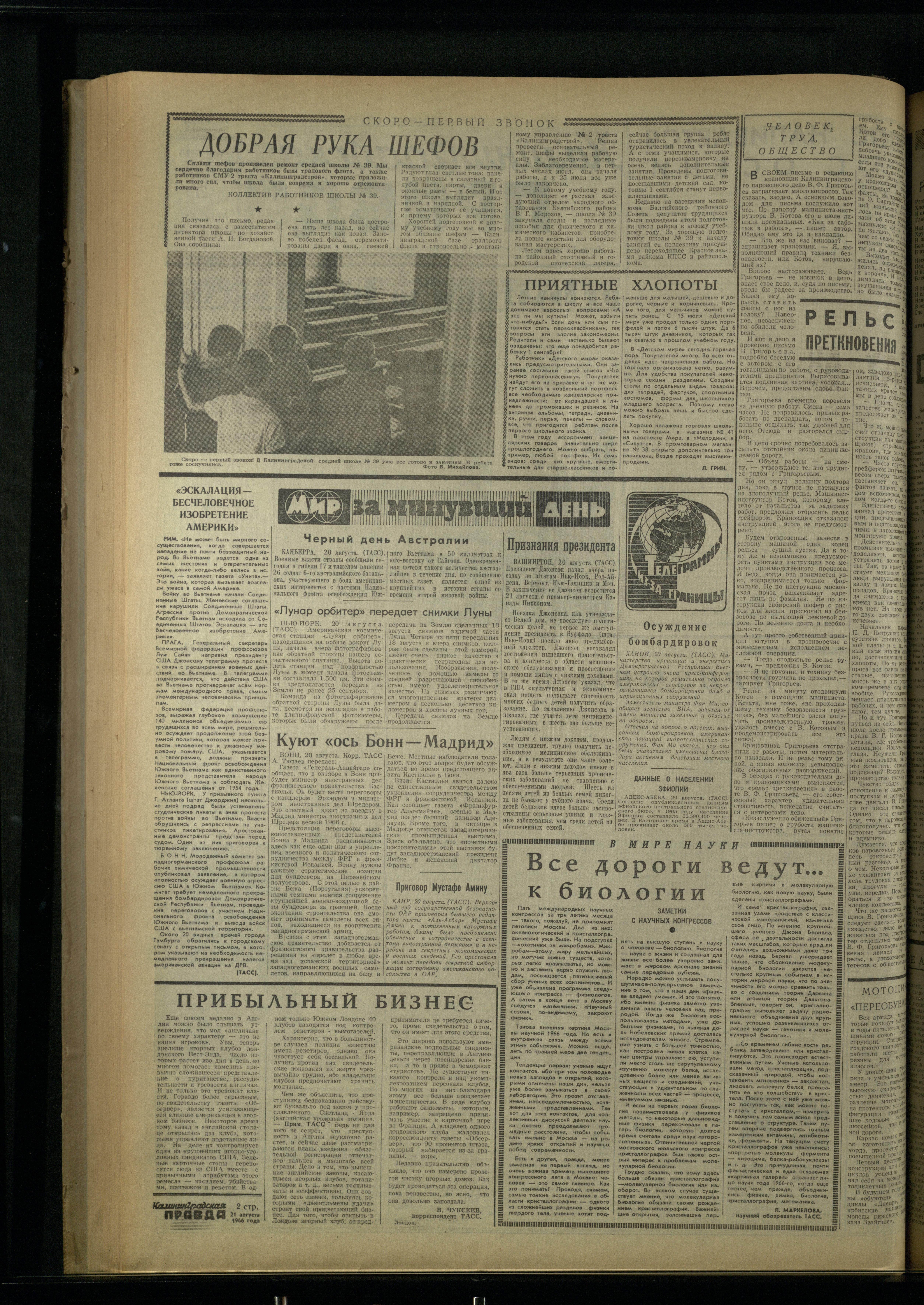 194-8-66-2
