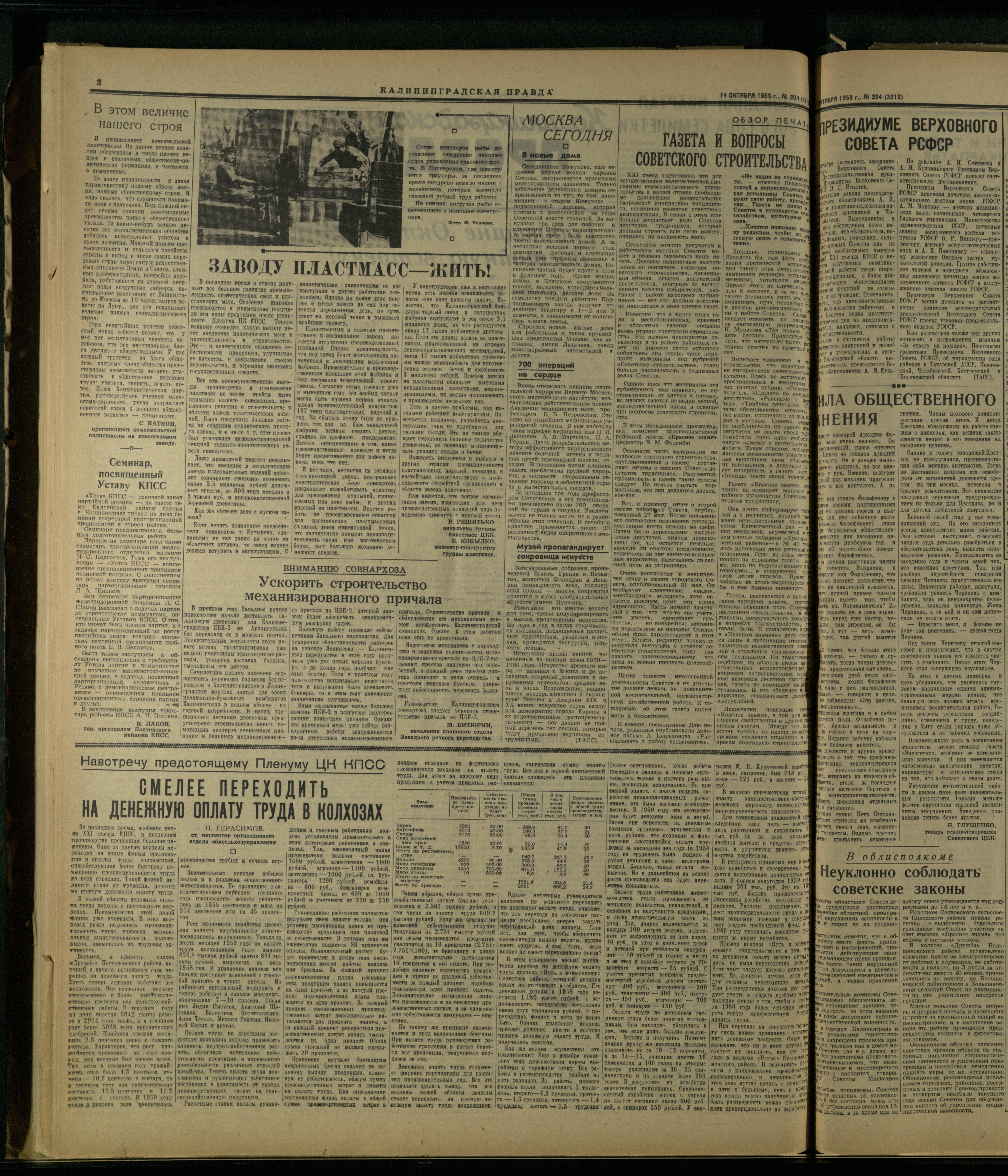204-10-59-2
