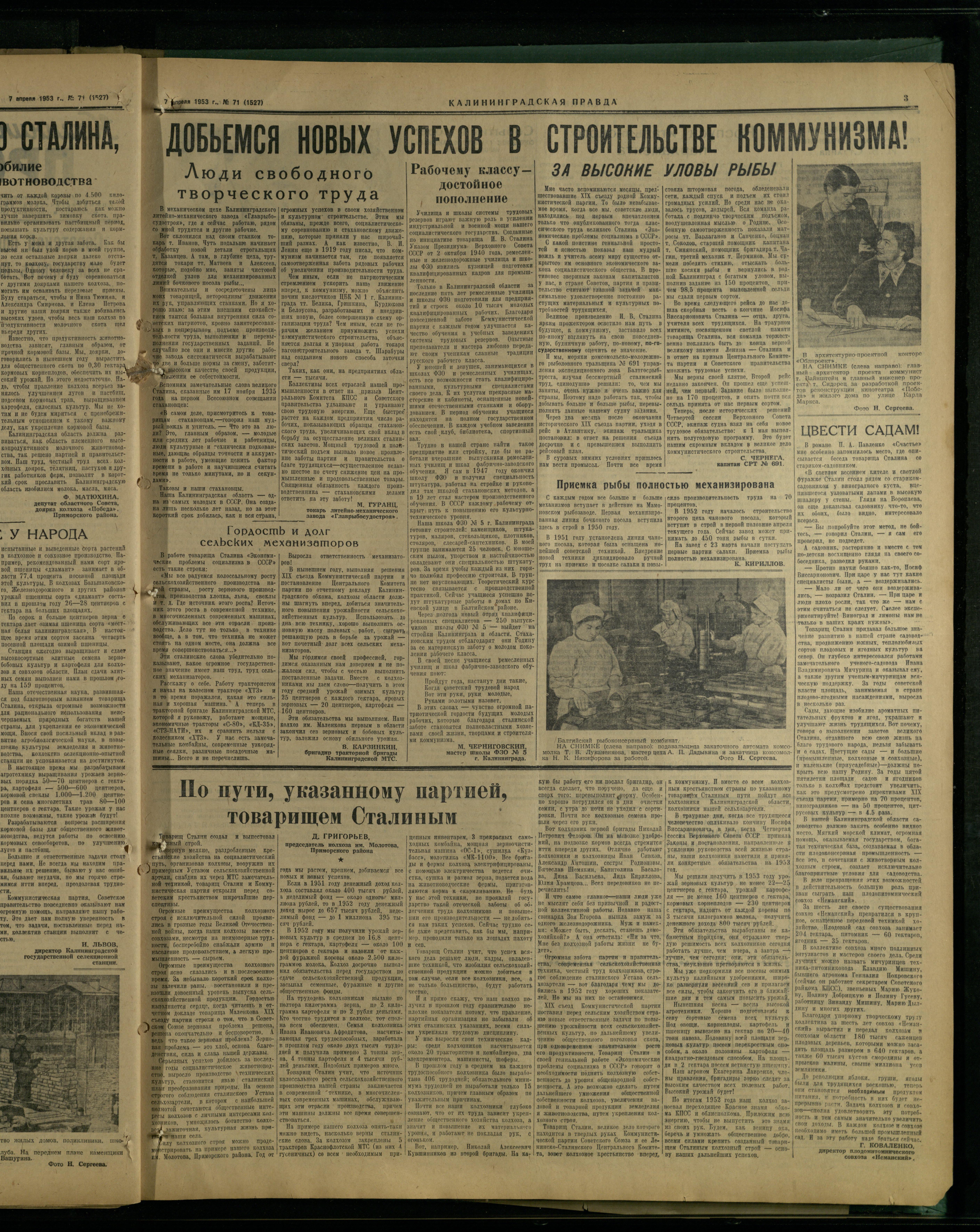 71-4-53-3