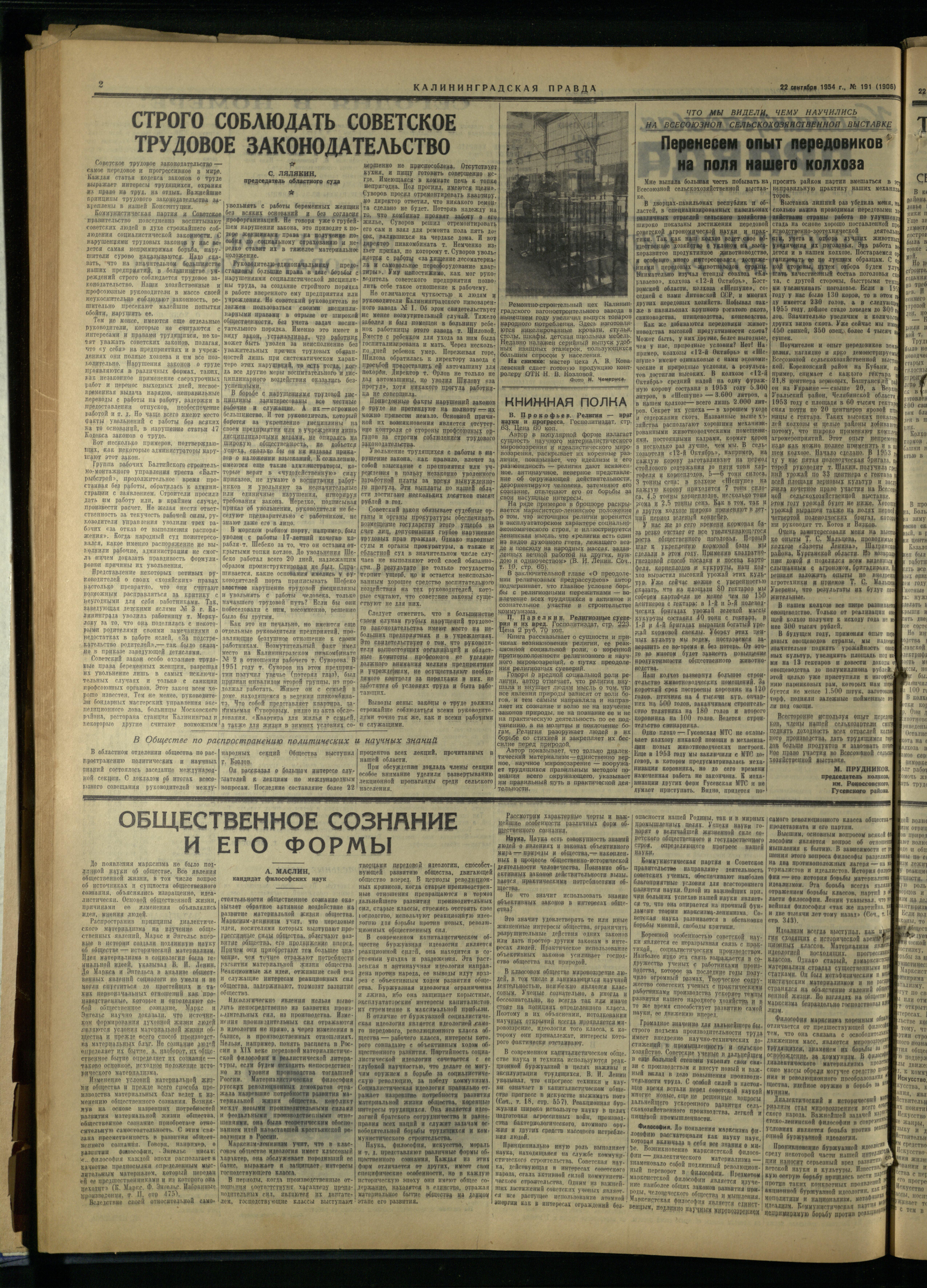 191-9-54-2