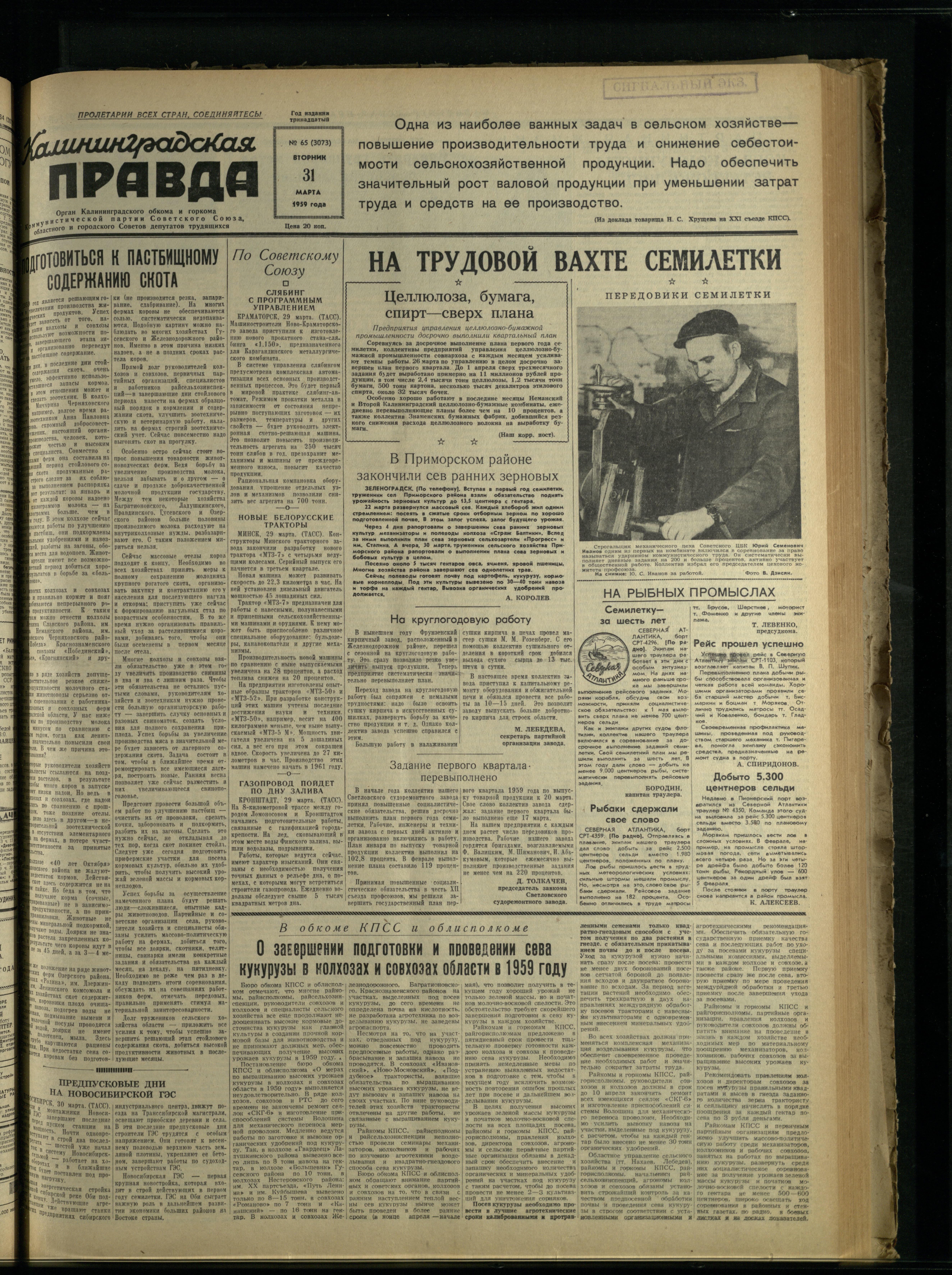 65-3-59-1