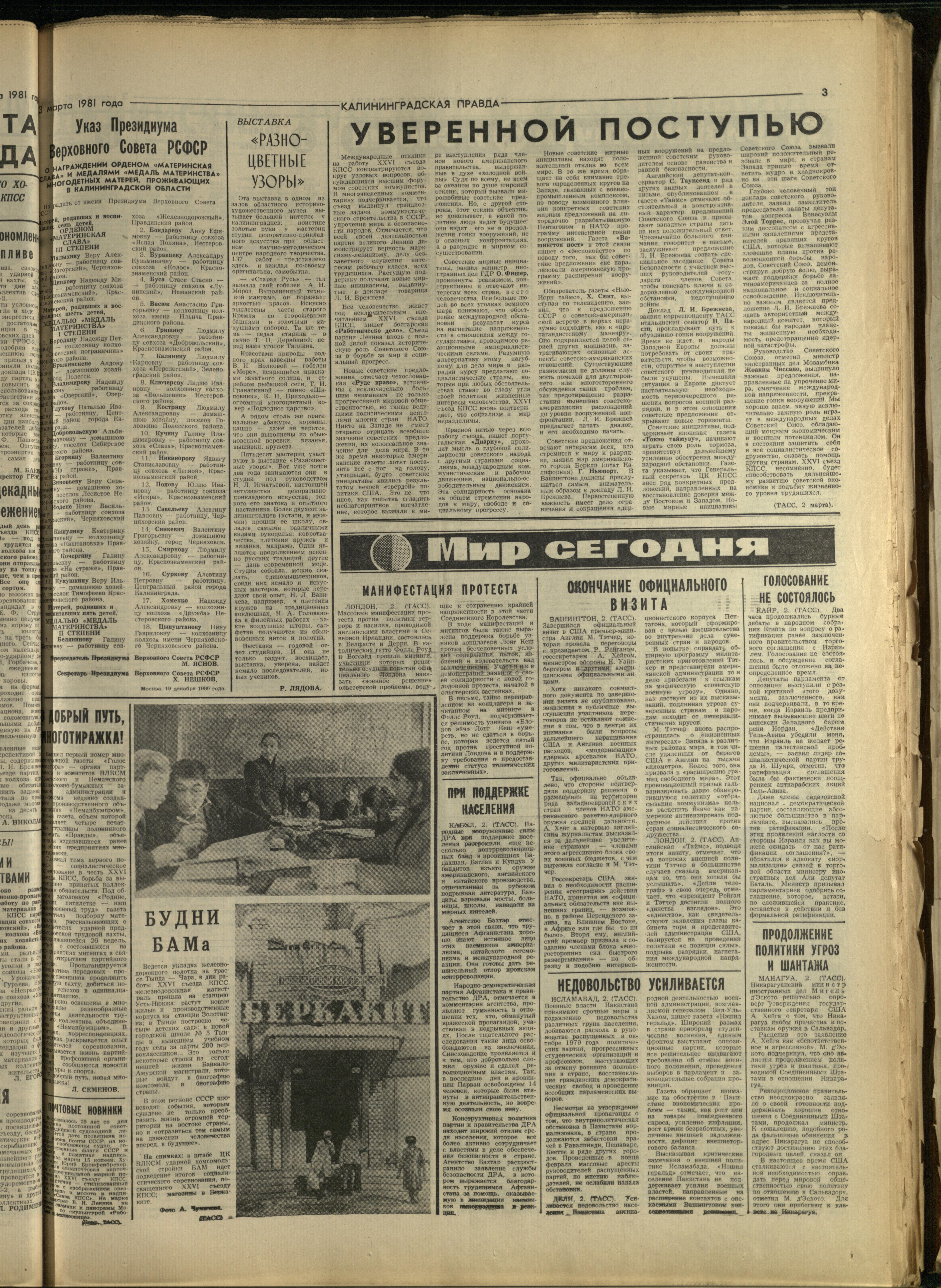 52-3-81-3