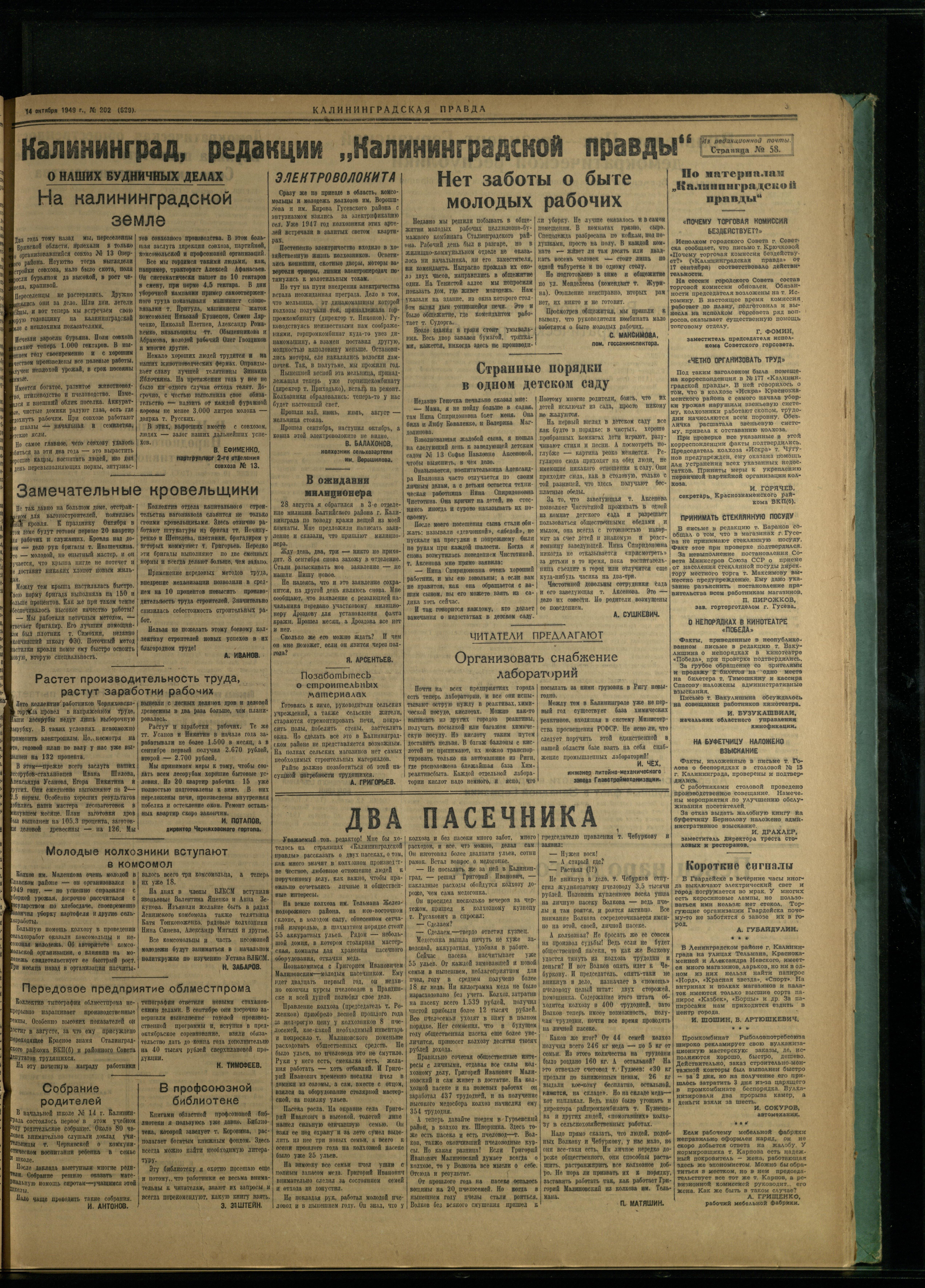 202-10-49-3