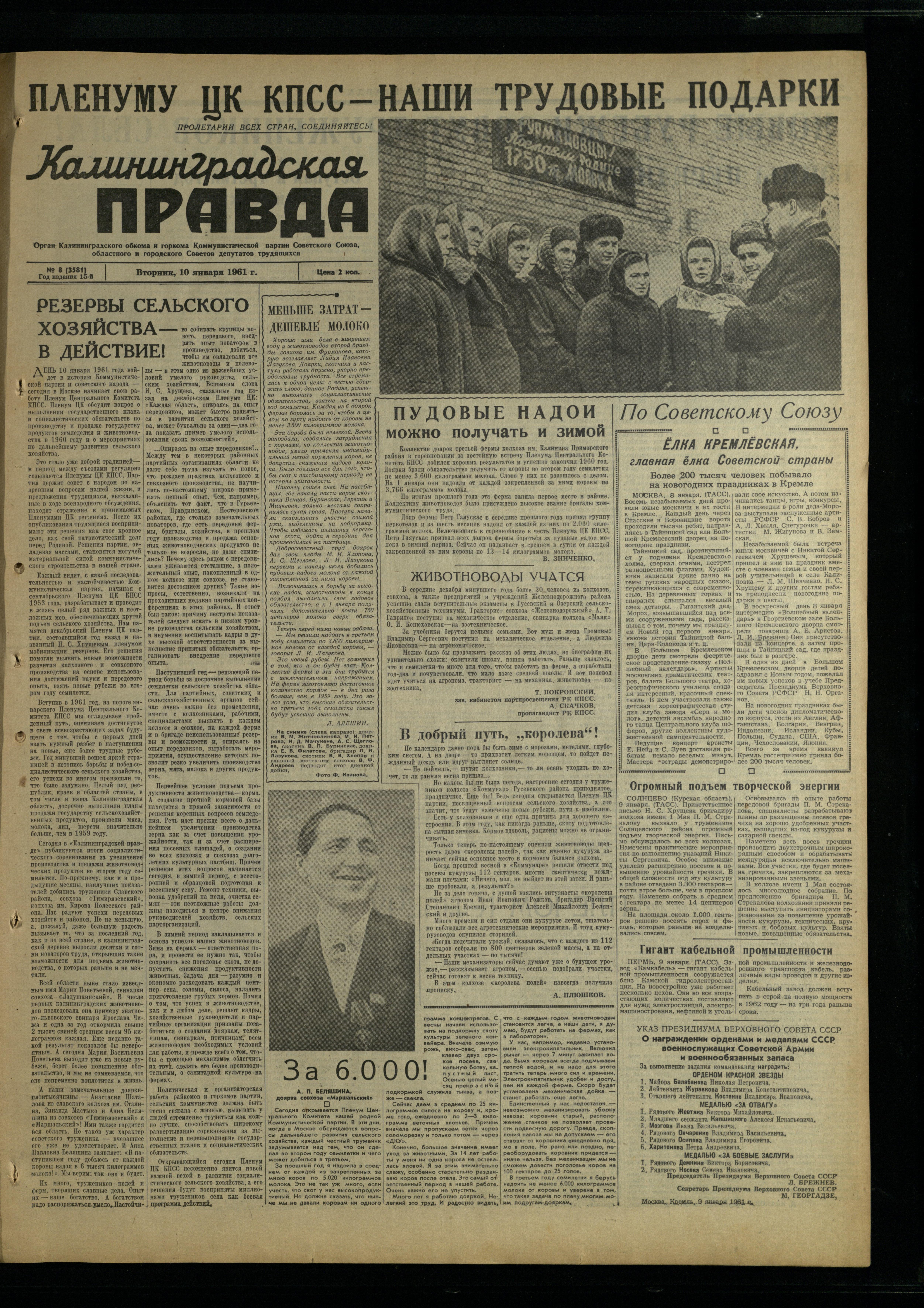 8-1-61-1