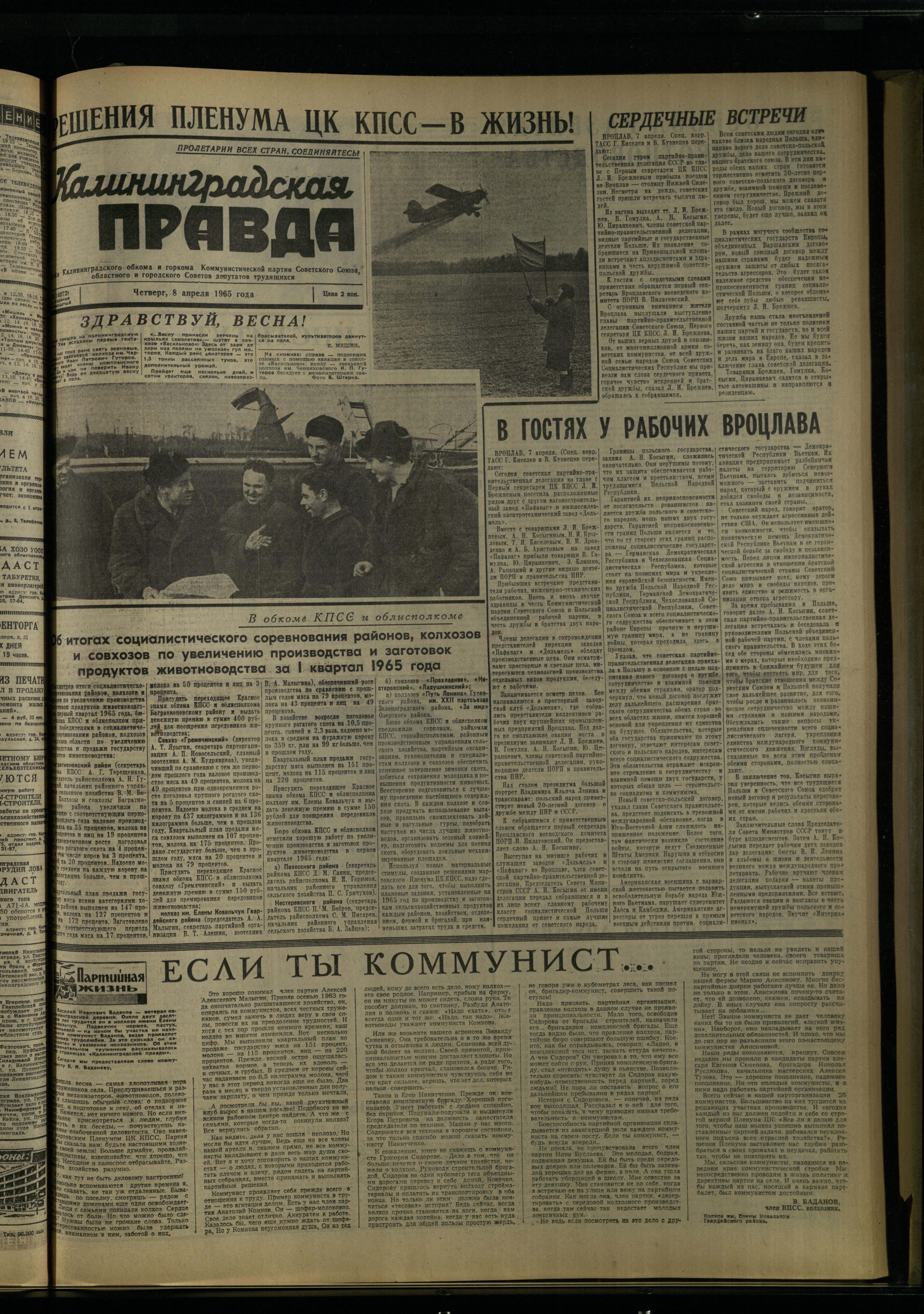 82-4-65-1