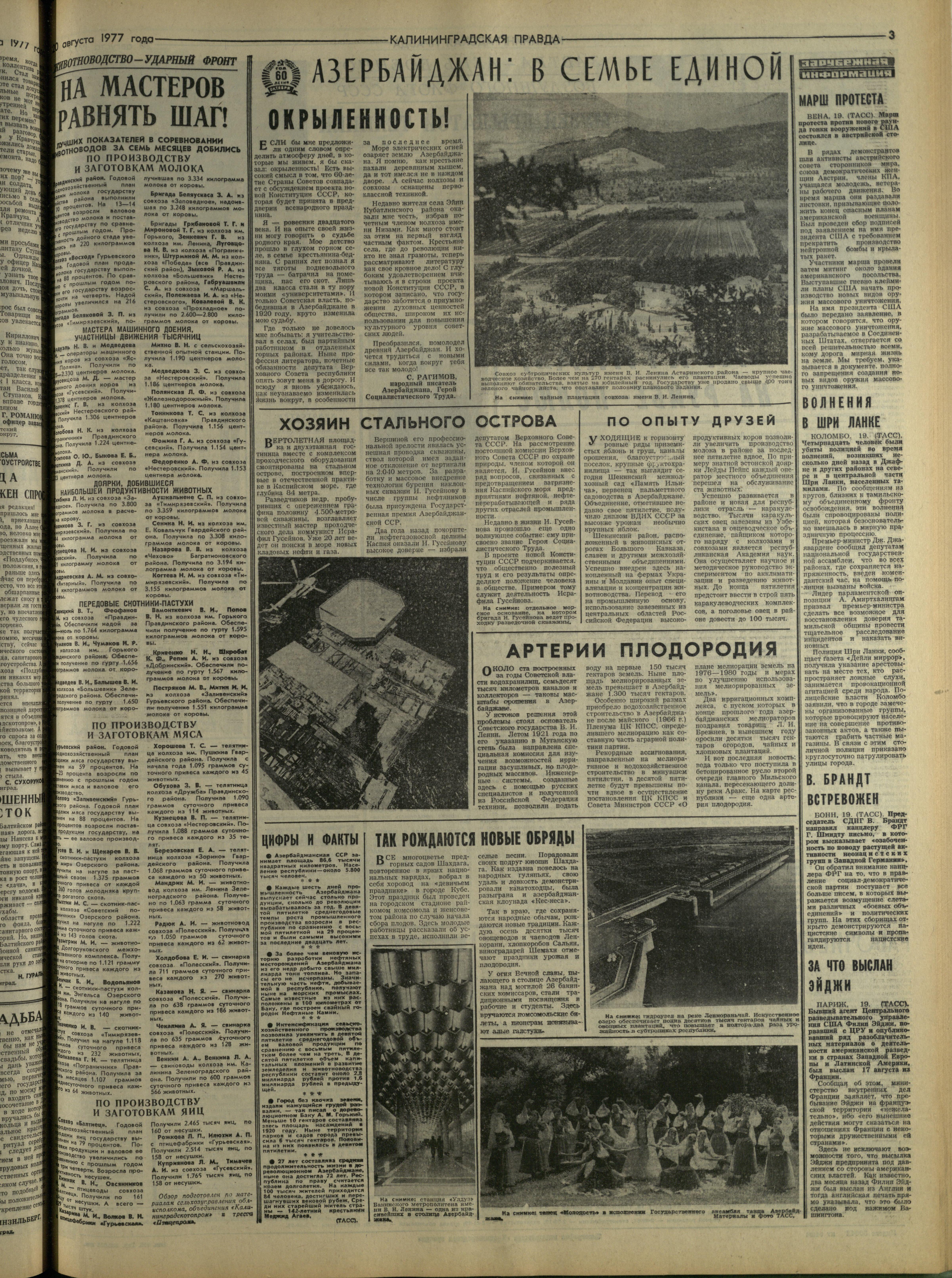 195-8-77-3