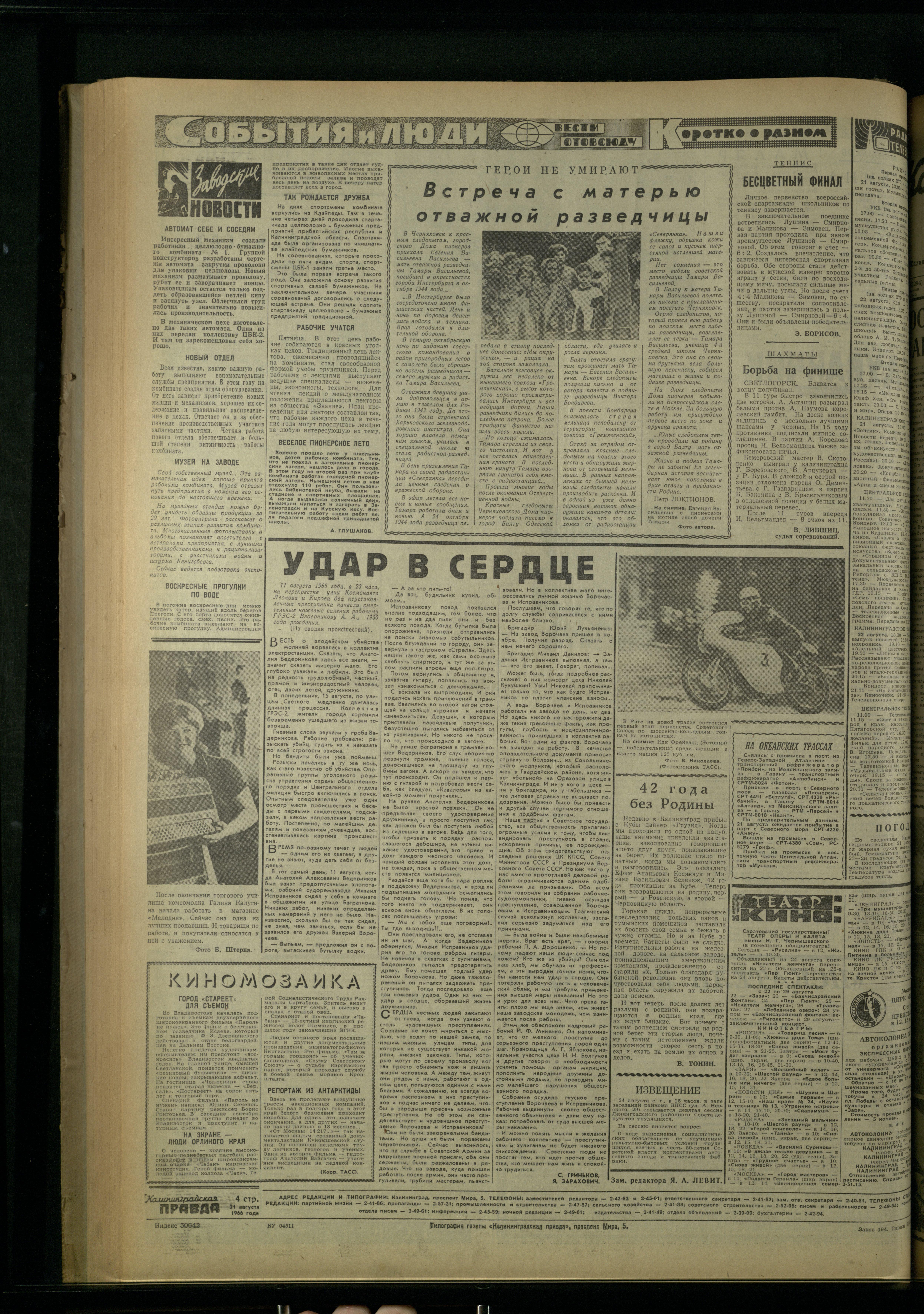 194-8-66-4