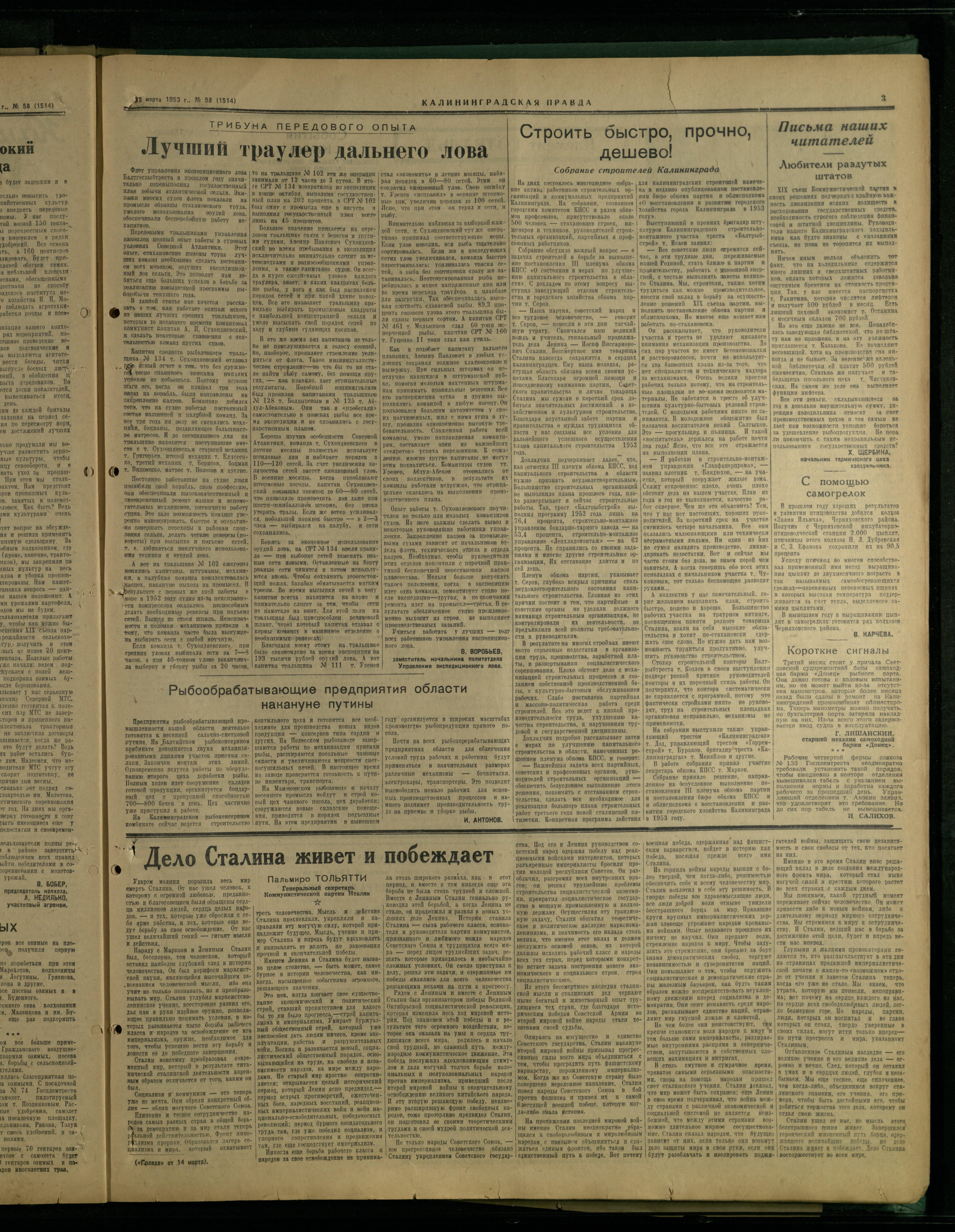 58-3-53-3