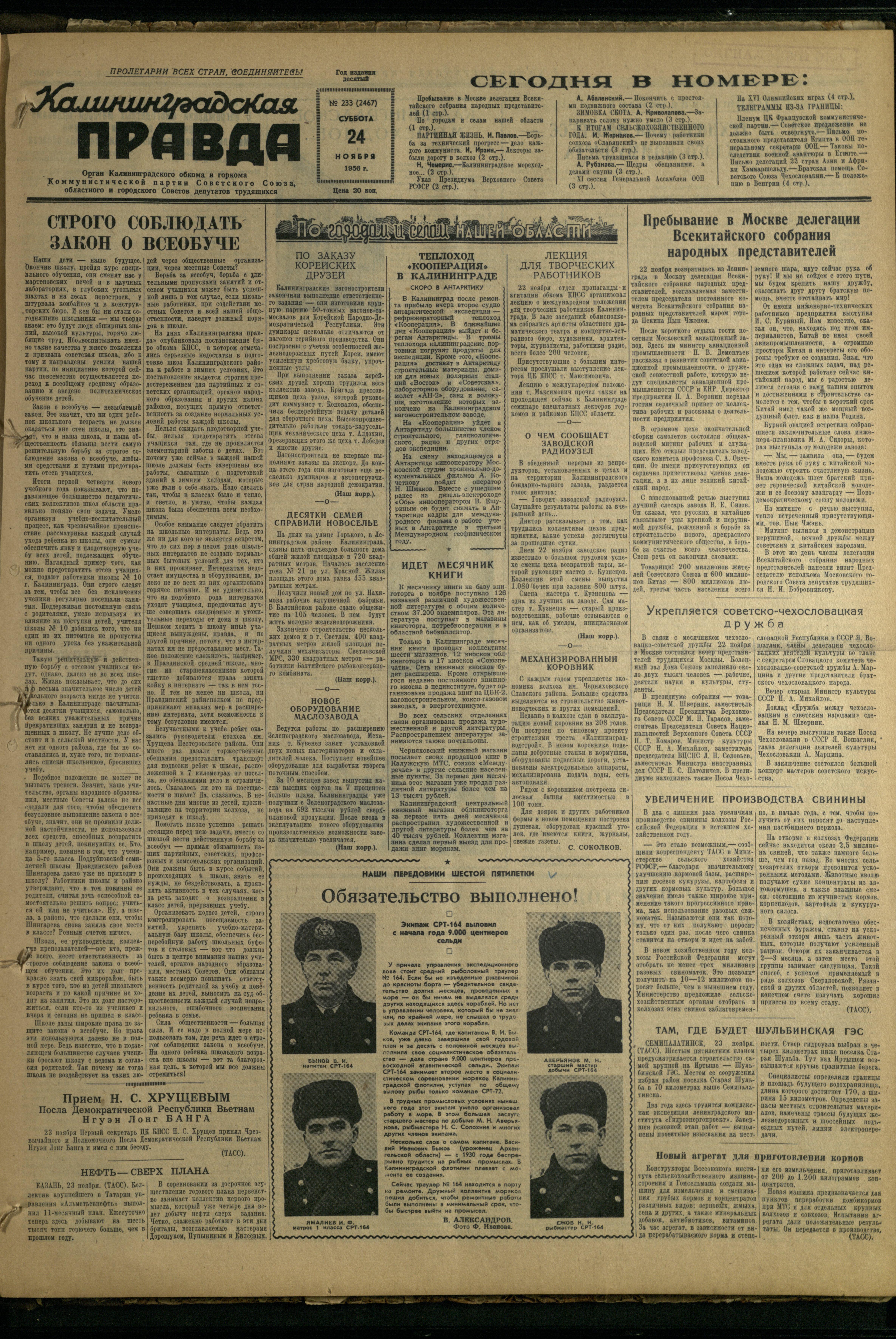233-11-56-1
