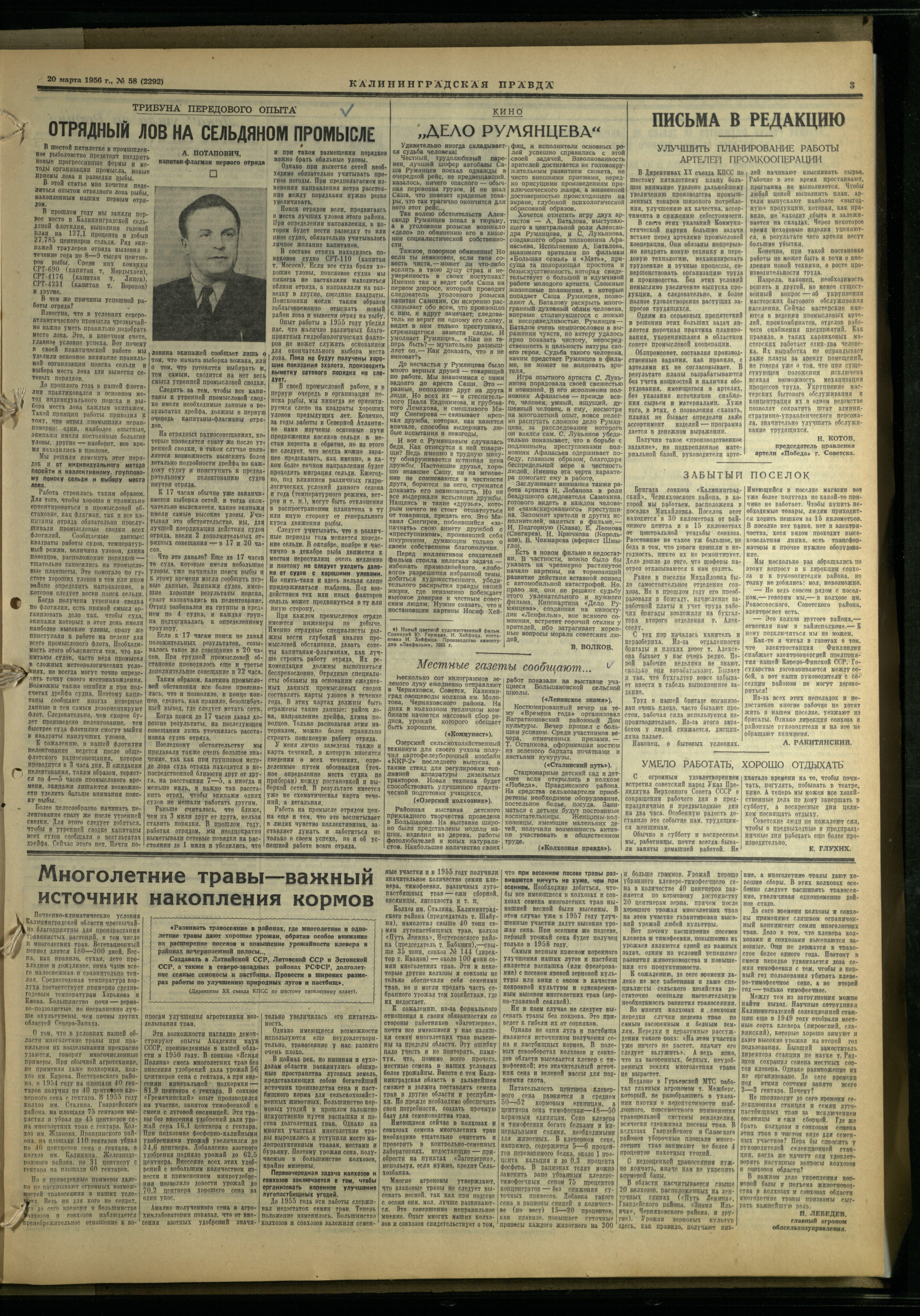 58-3-56-3